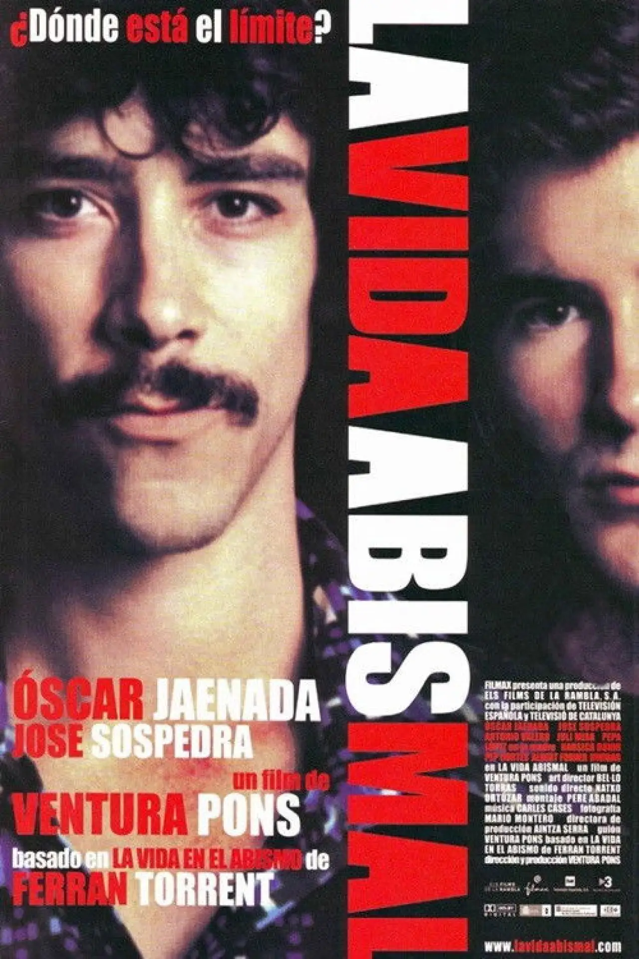 Постер до фільму "La vida abismal"
