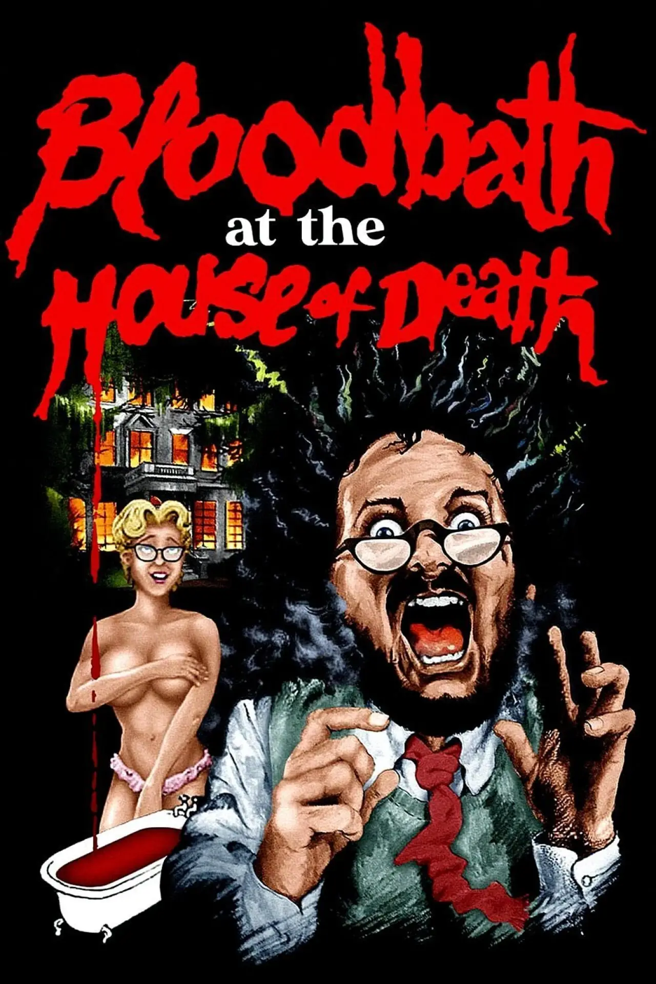 Постер до фільму "Bloodbath at the House of Death"