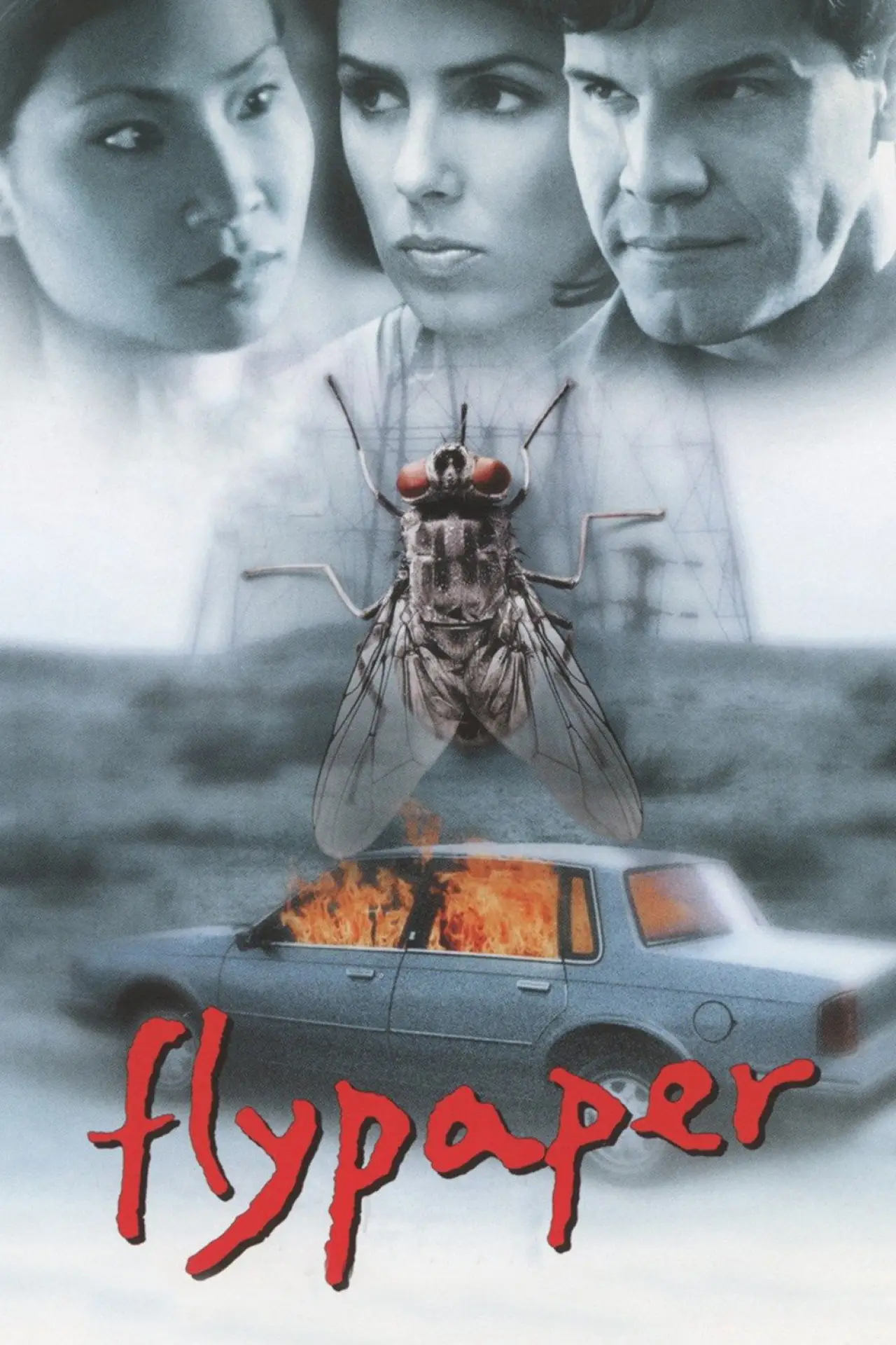 Постер до фільму "Flypaper"