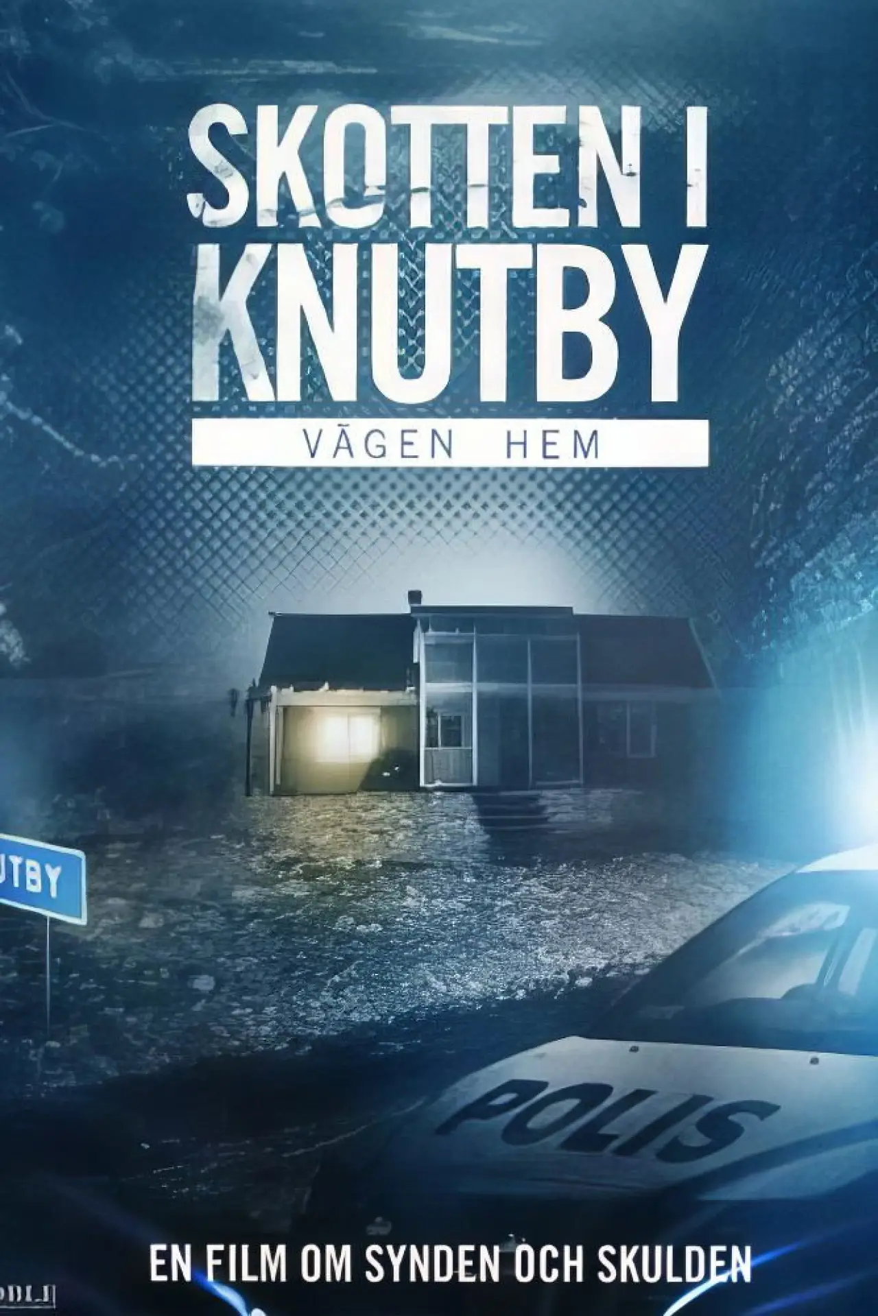 Постер до фільму "Vägen hem"