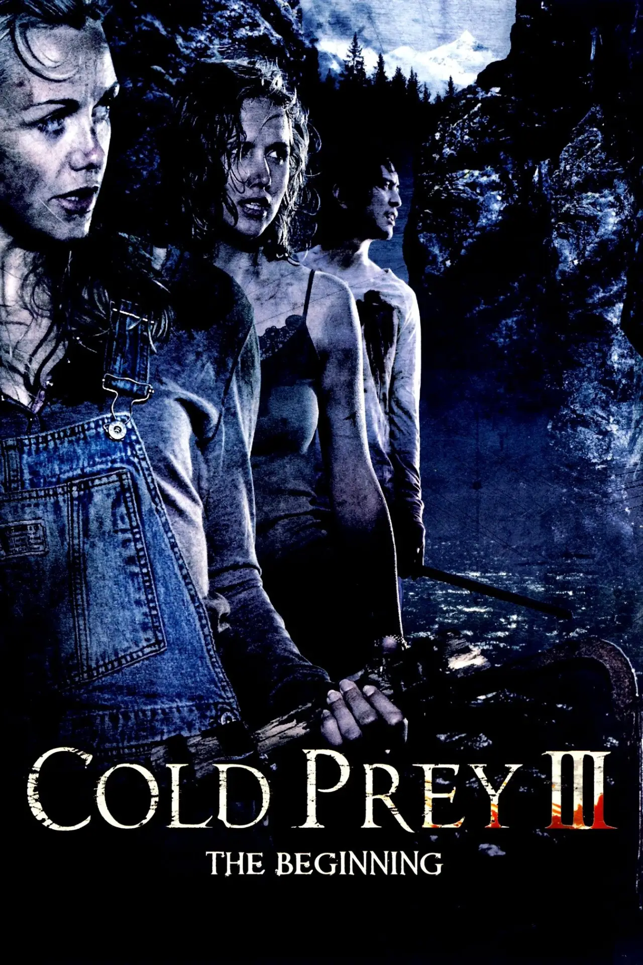 Постер до фільму "Схолола жертва 3"
