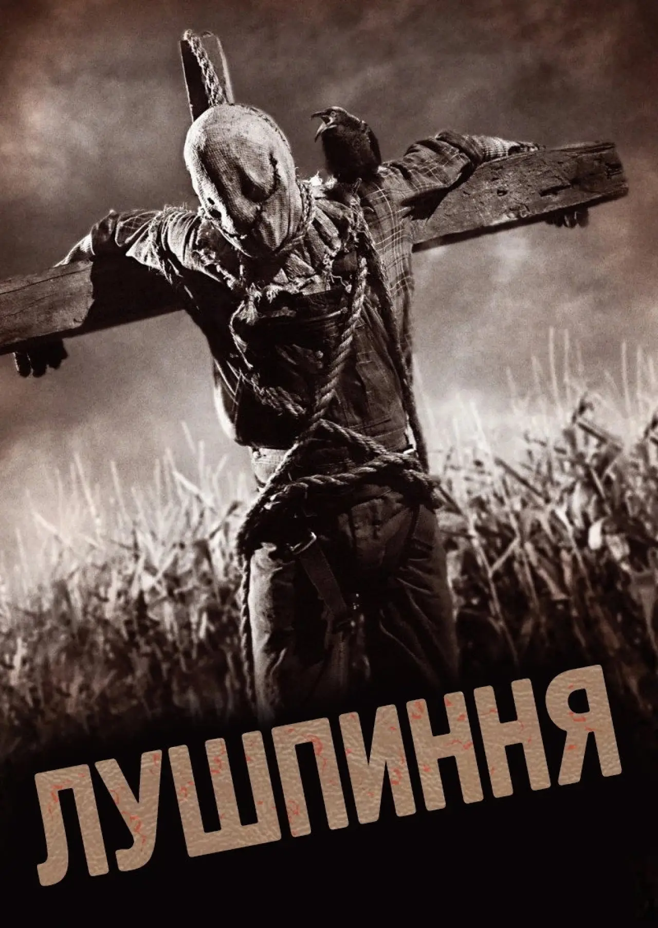 Постер до фільму "Лузга"