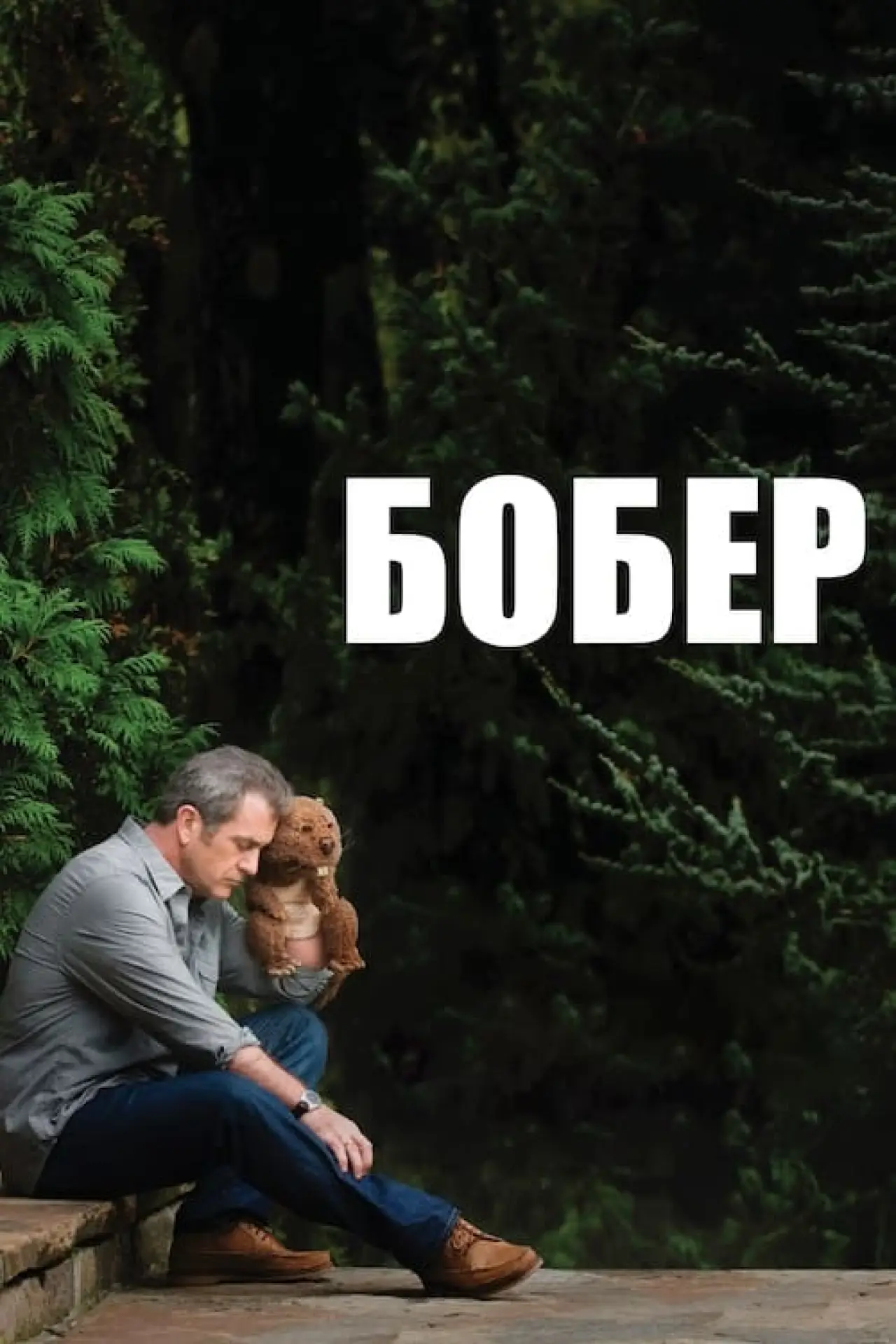 Постер до фільму "Бобер"