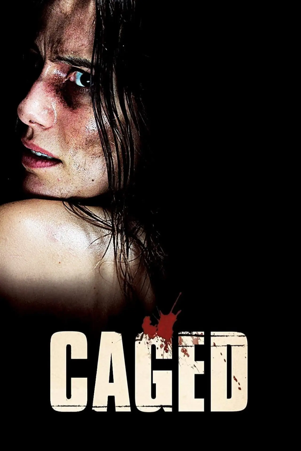 Постер до фільму "Captifs"