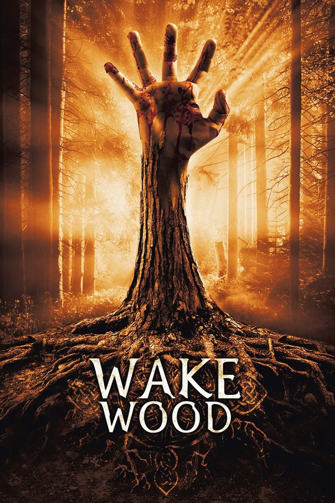 Постер до фільму "Wake Wood"