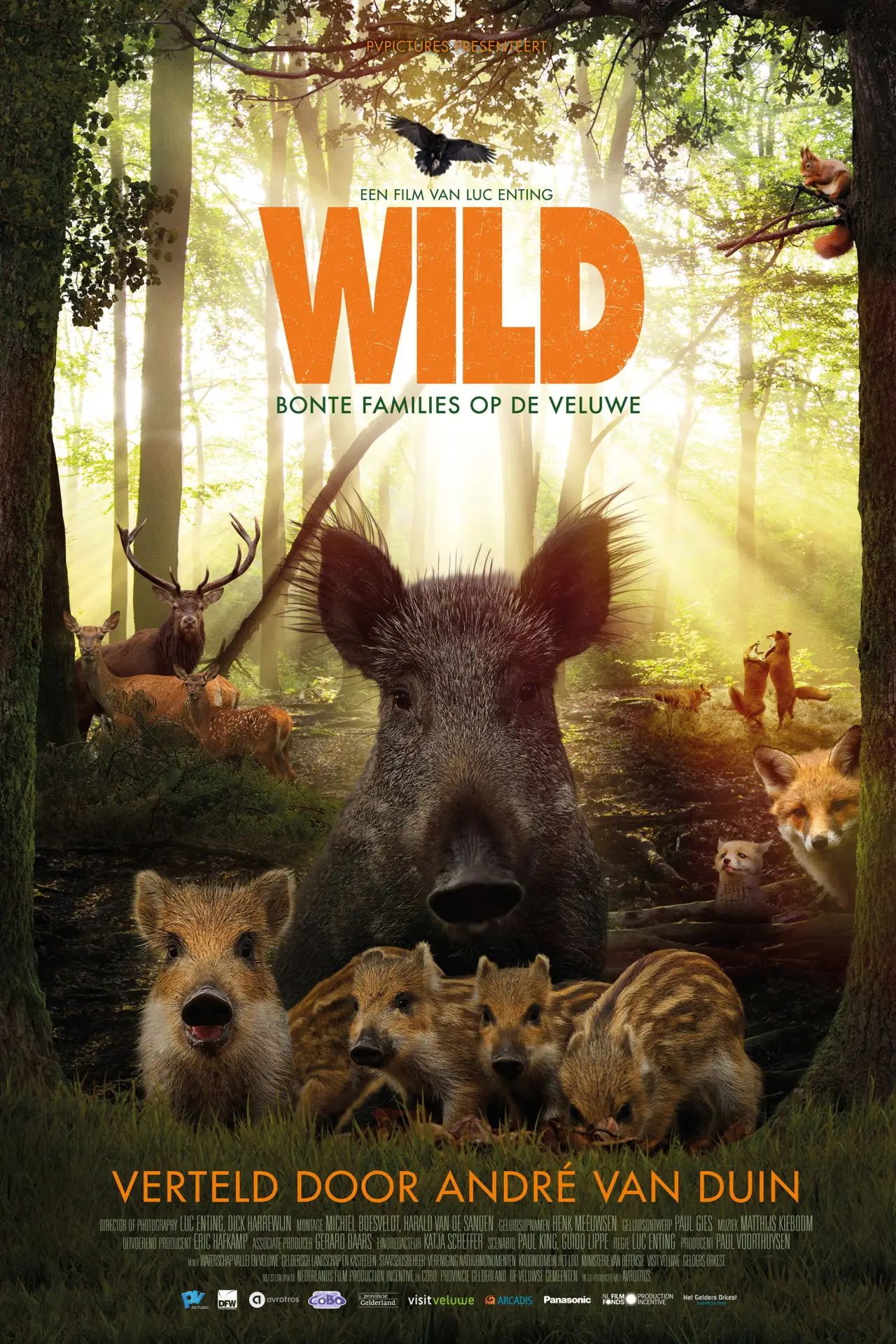 Постер до фільму "Wild"