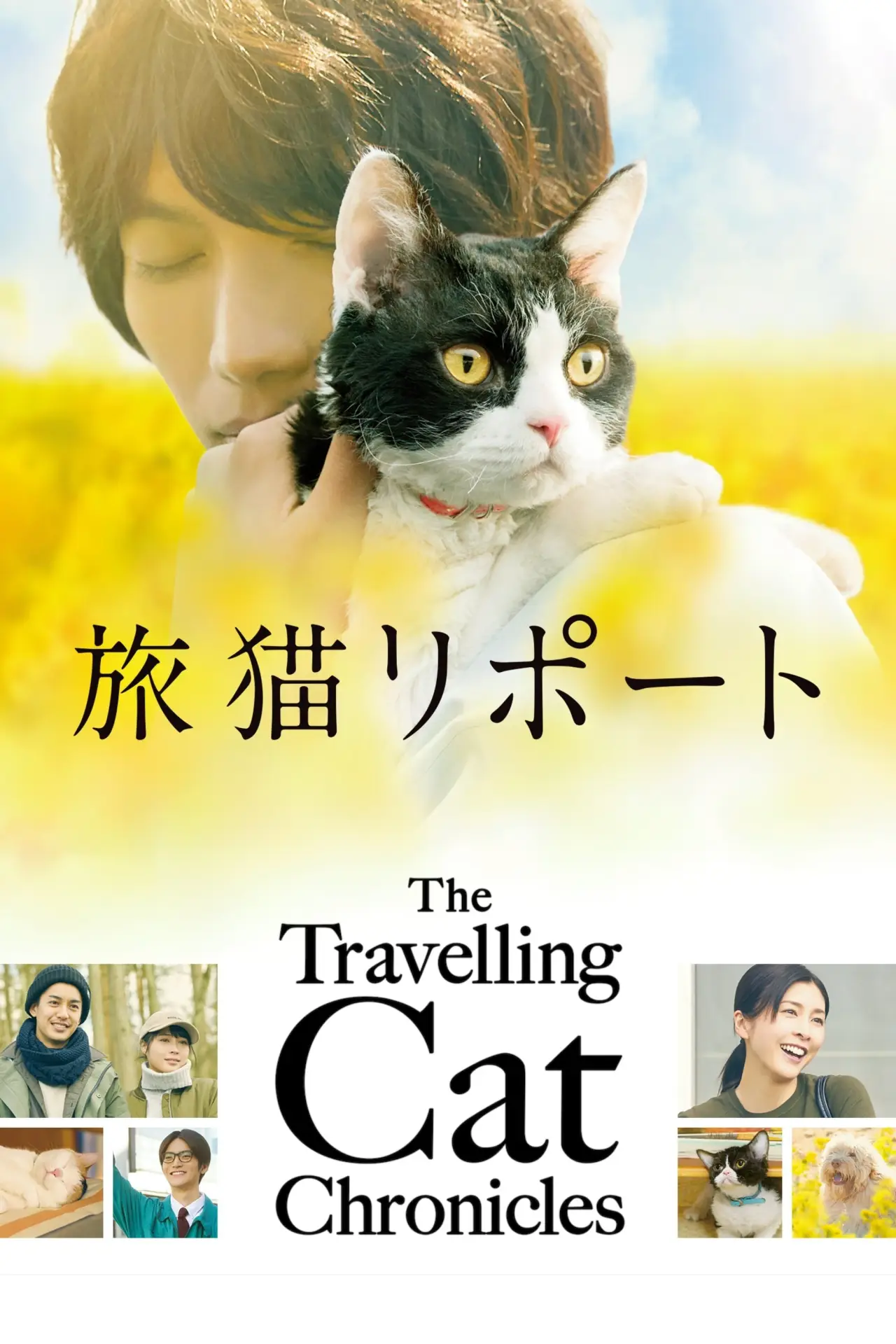 Постер до фільму "旅猫リポート"