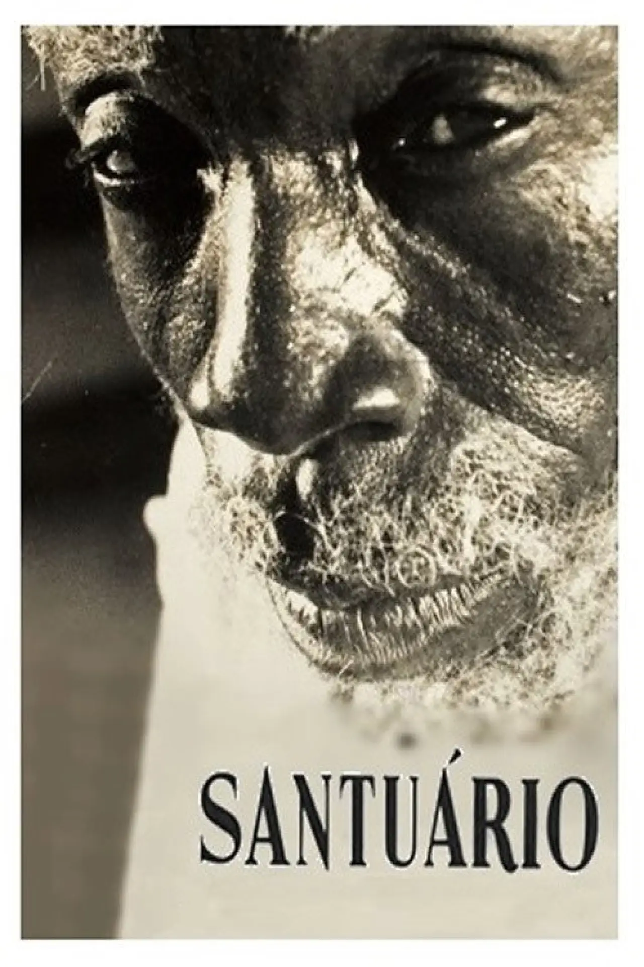 Постер до фільму "Santuário"
