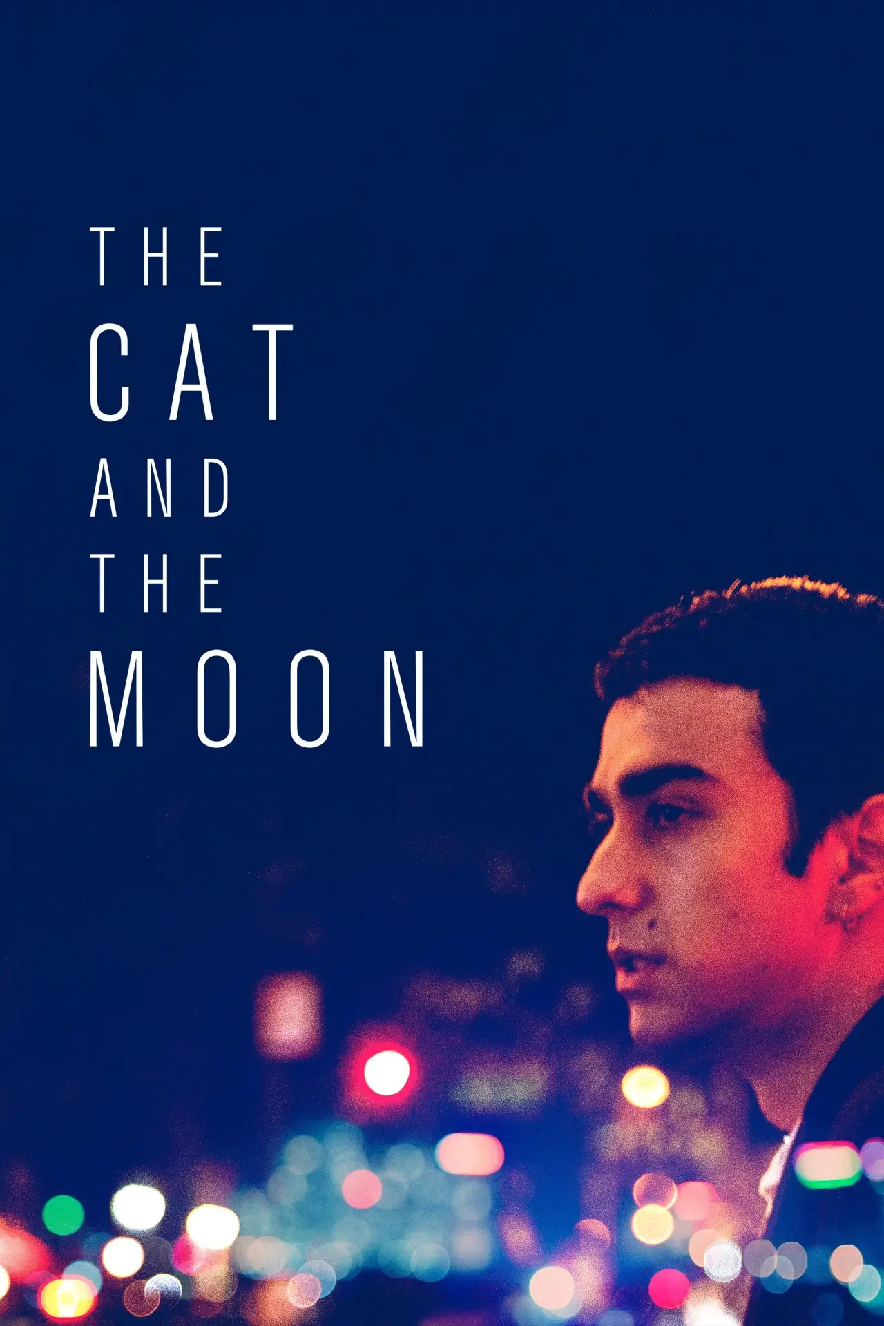 Постер до фільму "The Cat and the Moon"