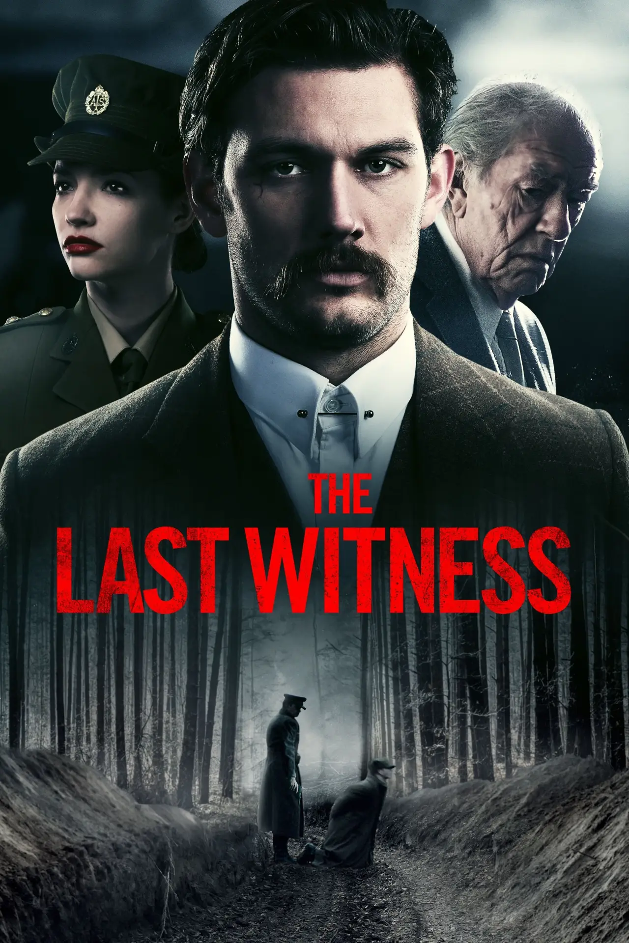 Постер до фільму "The Last Witness"