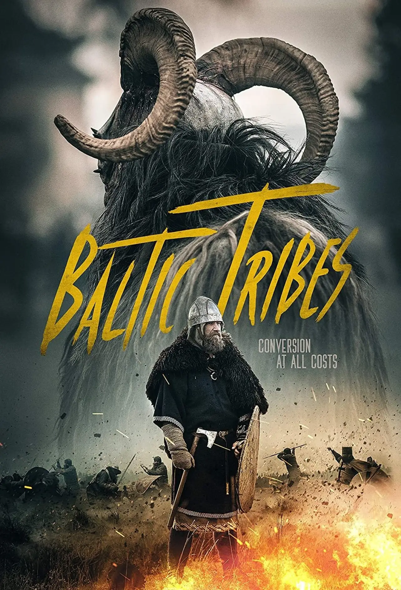 Постер до фільму "Baltu ciltis"