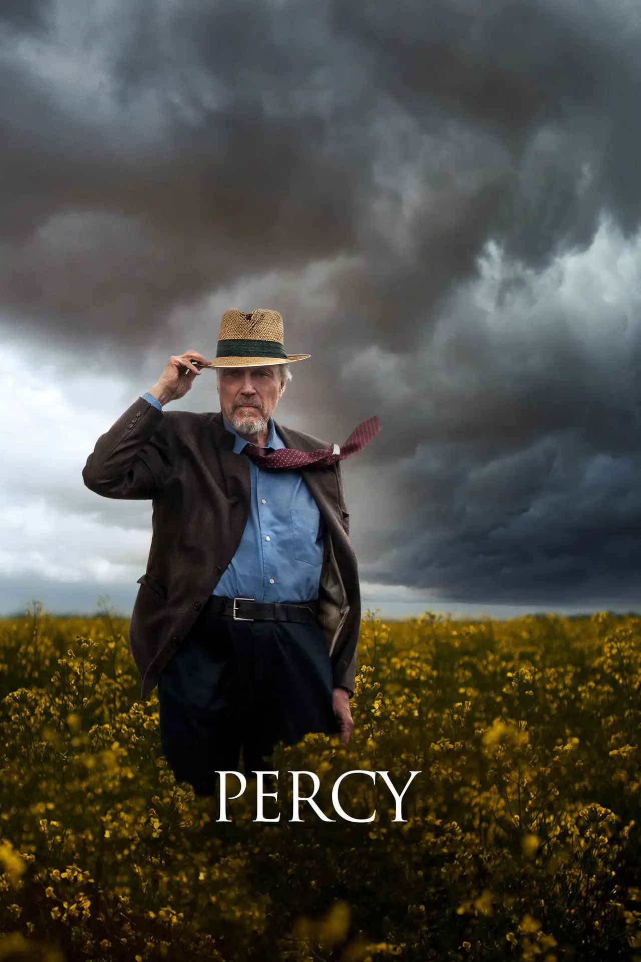 Постер до фільму "Percy"