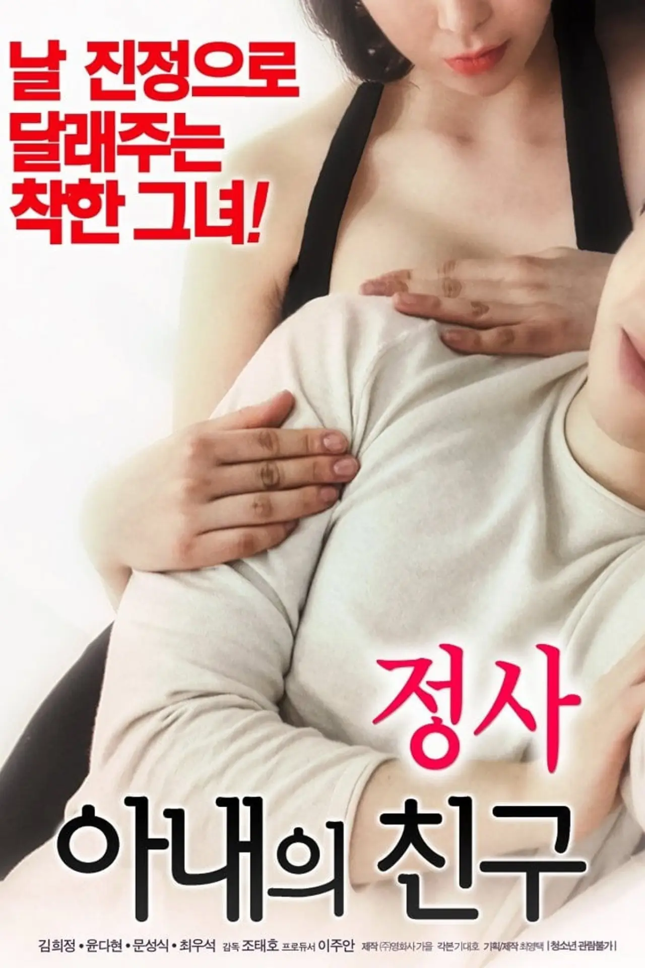 Постер до фільму "정사: 아내의 친구"