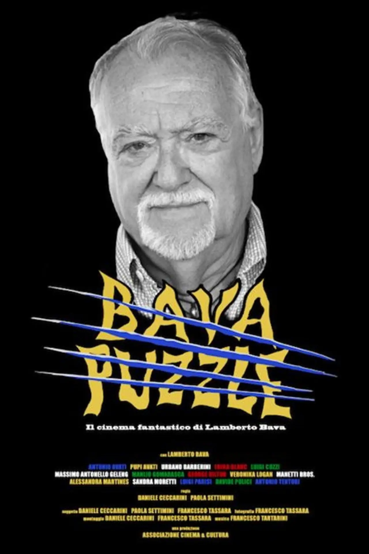 Постер до фільму "Bava Puzzle"