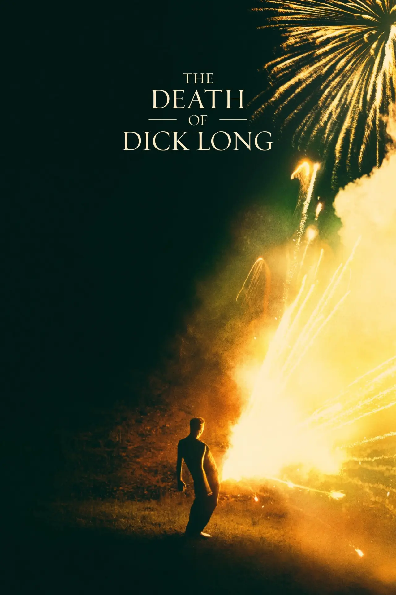 Постер до фільму "The Death of Dick Long"