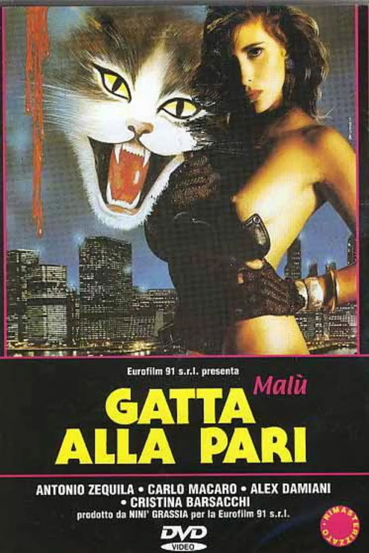 Постер до фільму "Gatta alla pari"
