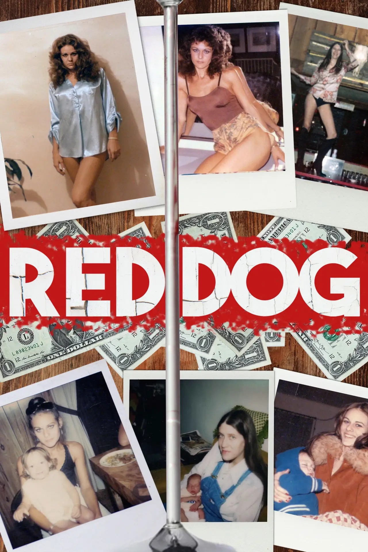 Постер до фільму "Red Dog"
