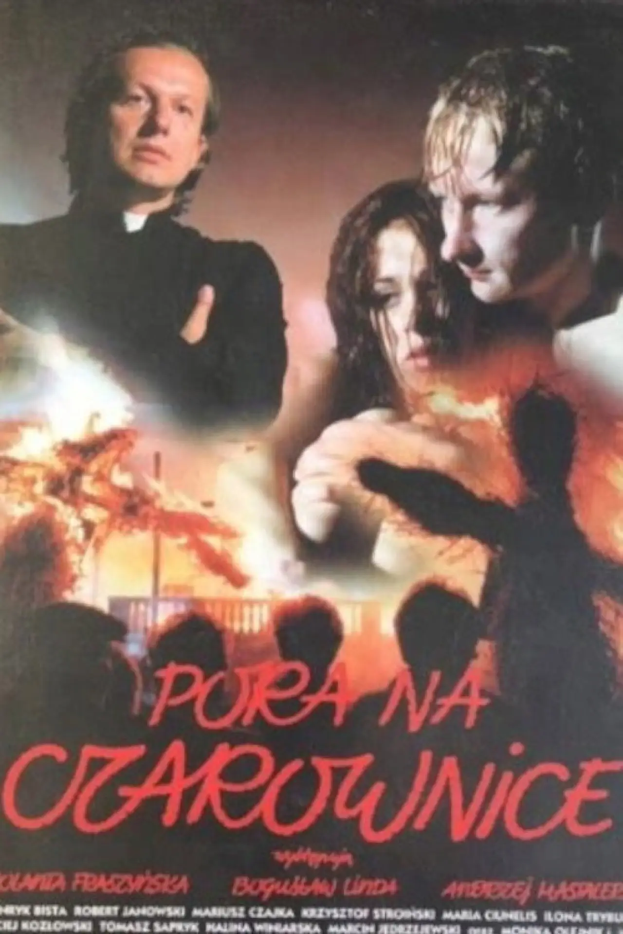 Постер до фільму "Pora na czarownice"