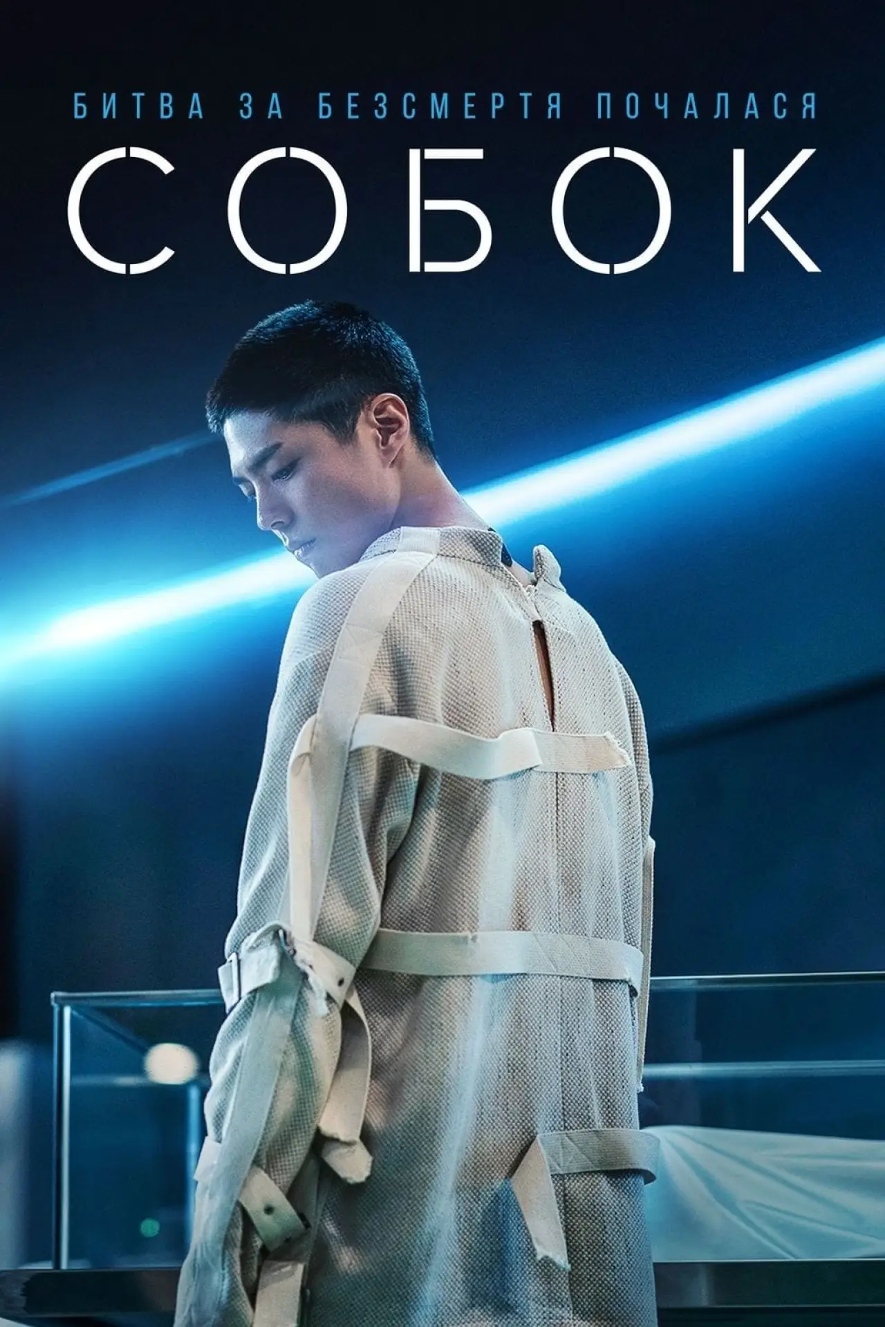 Постер до фільму "Собок"