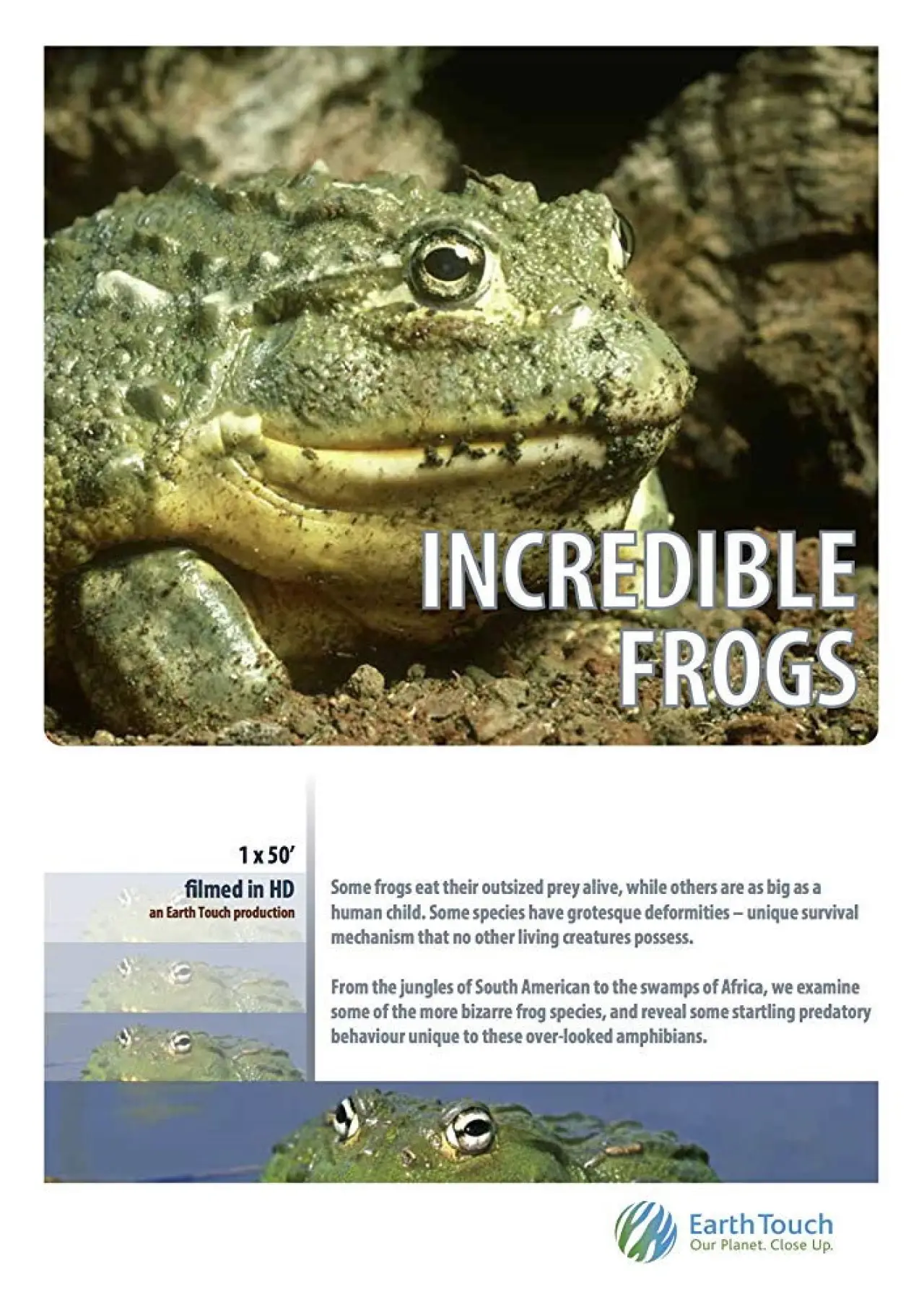 Постер до фільму "Incredible frogs"
