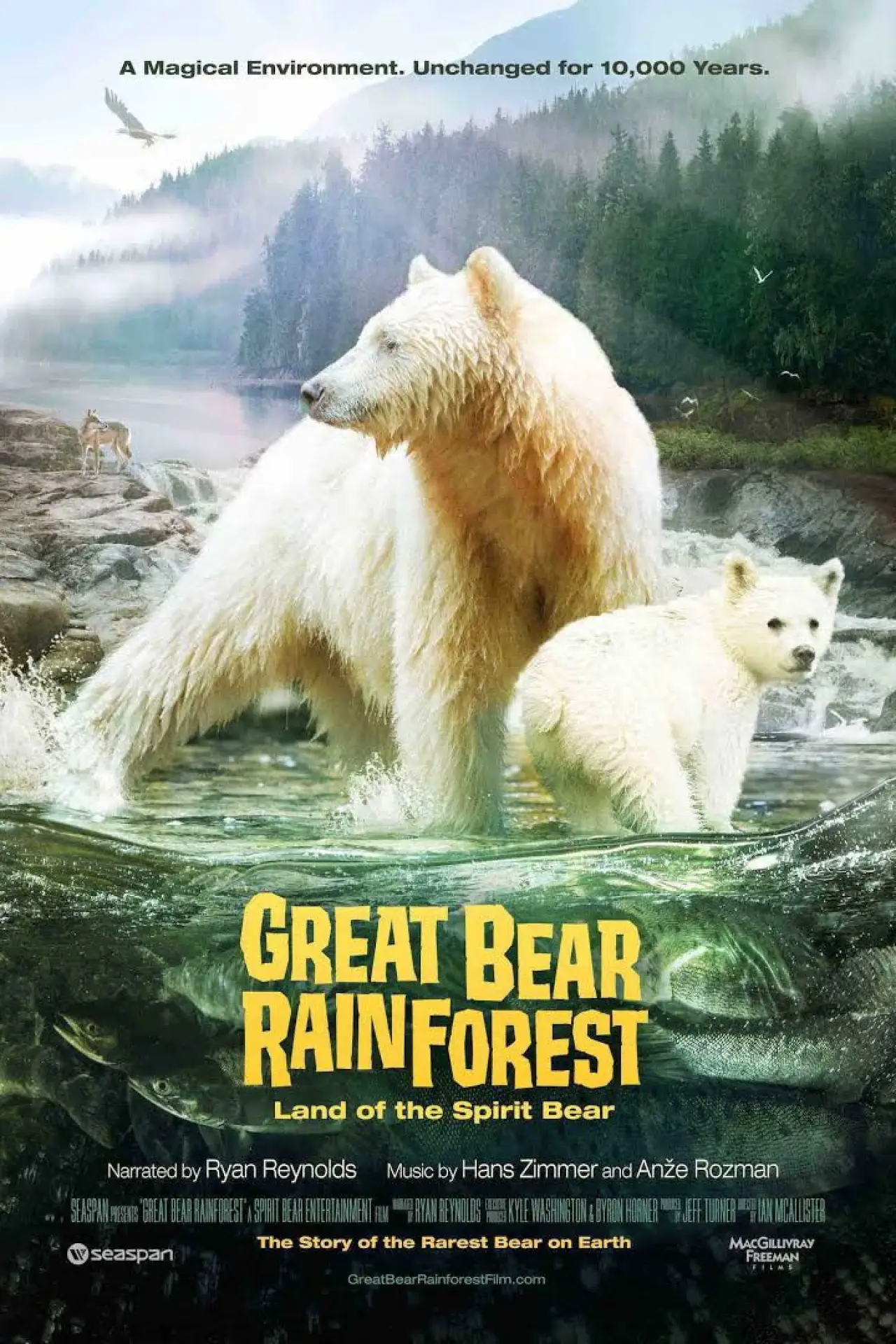 Постер до фільму "Great Bear Rainforest: Land of the Spirit Bear"