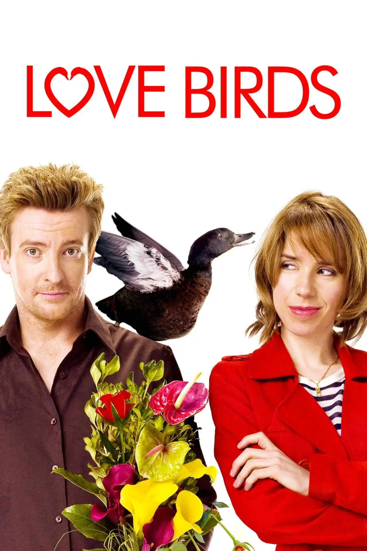 Постер до фільму "Love Birds"