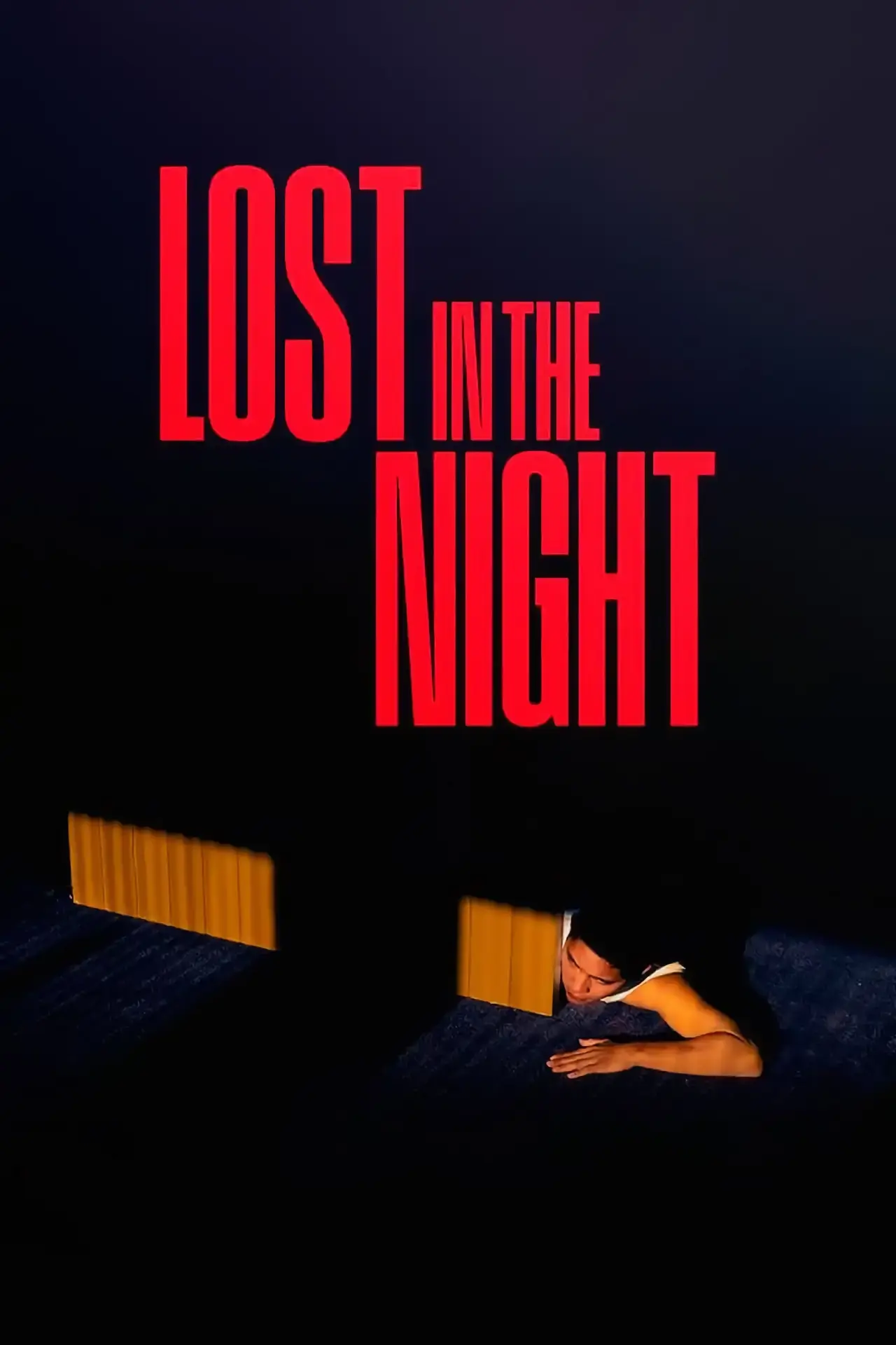 Постер до фільму "Perdidos en la noche"