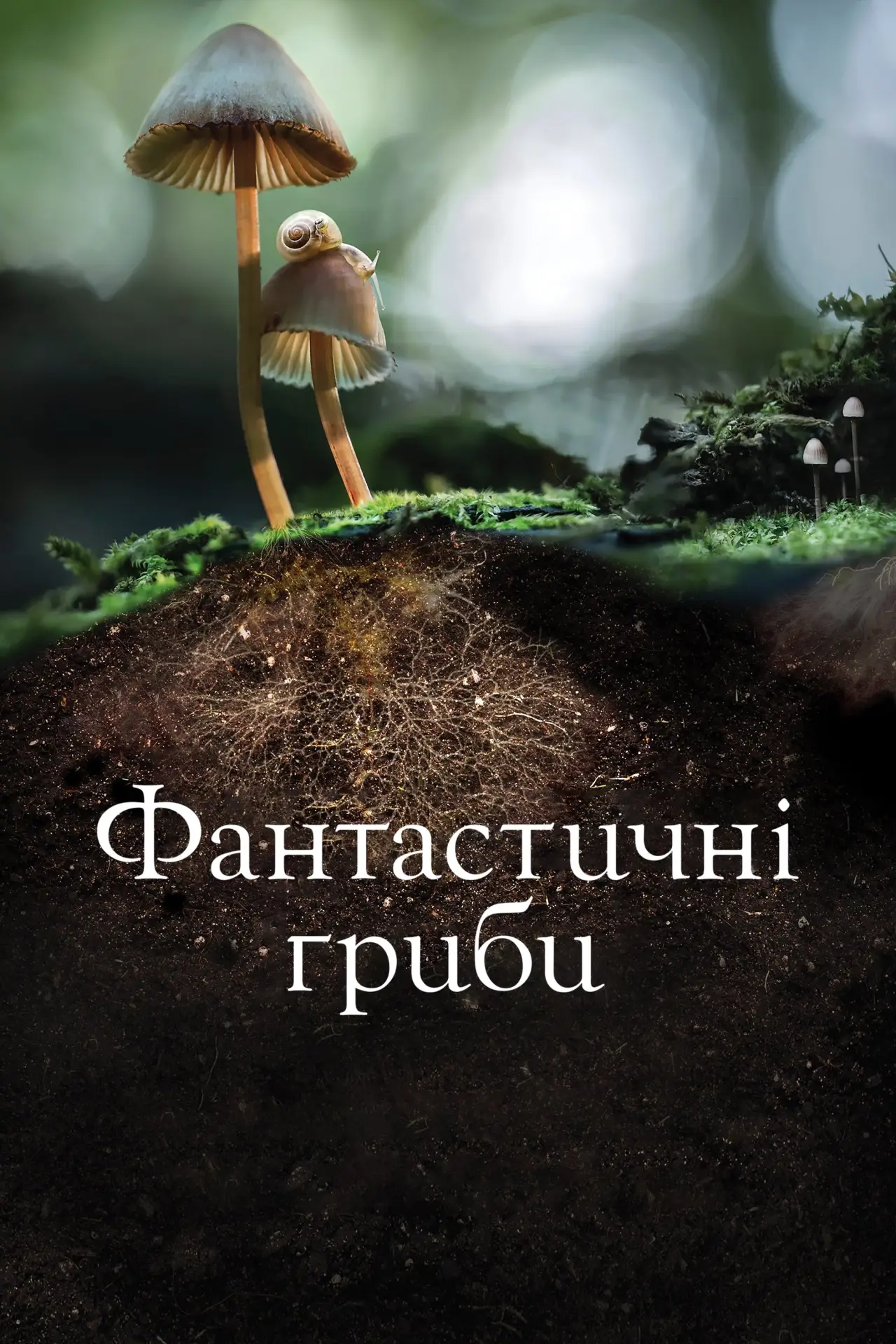 Постер до фільму "Фантастичні гриби"