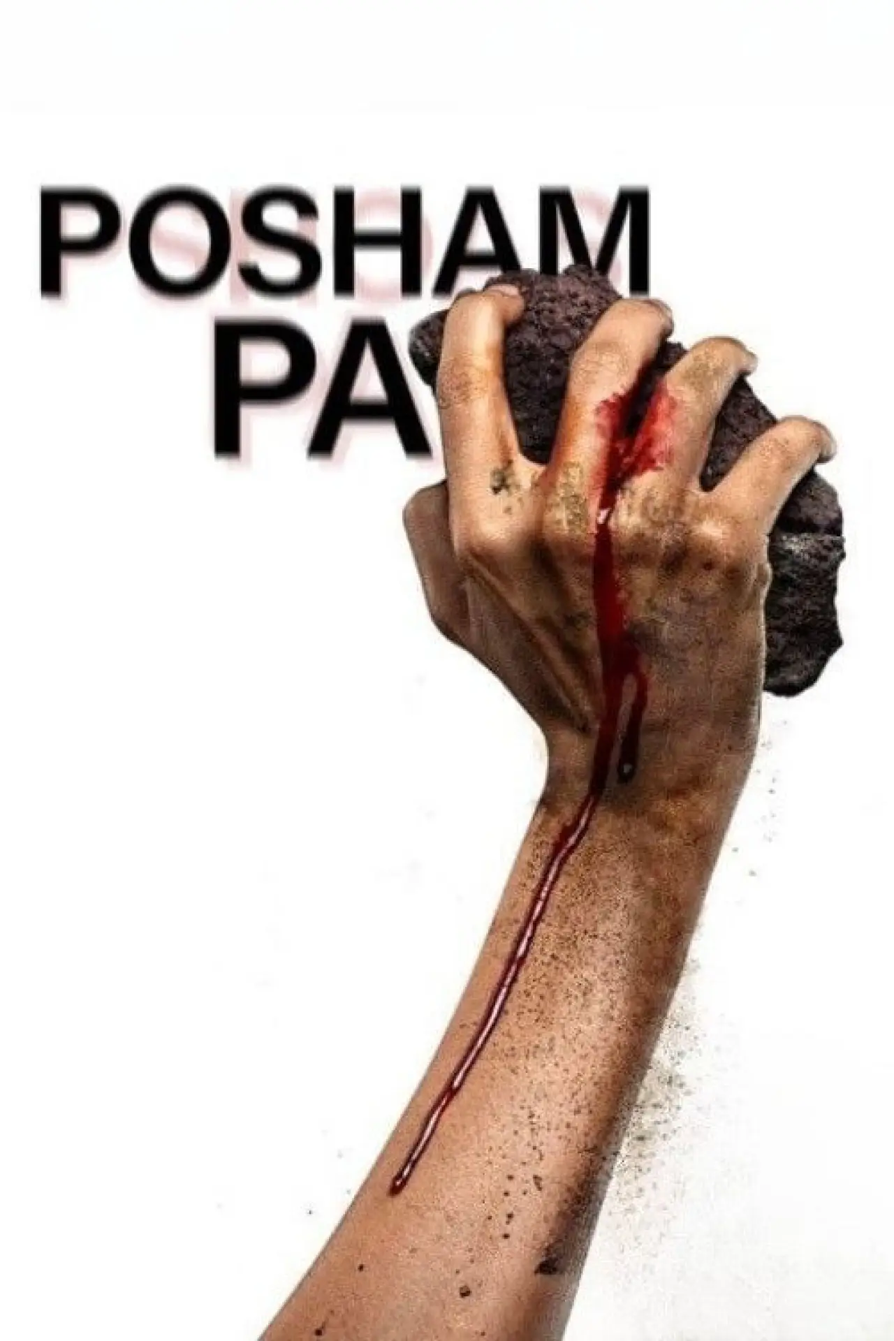 Постер до фільму "Posham Pa"