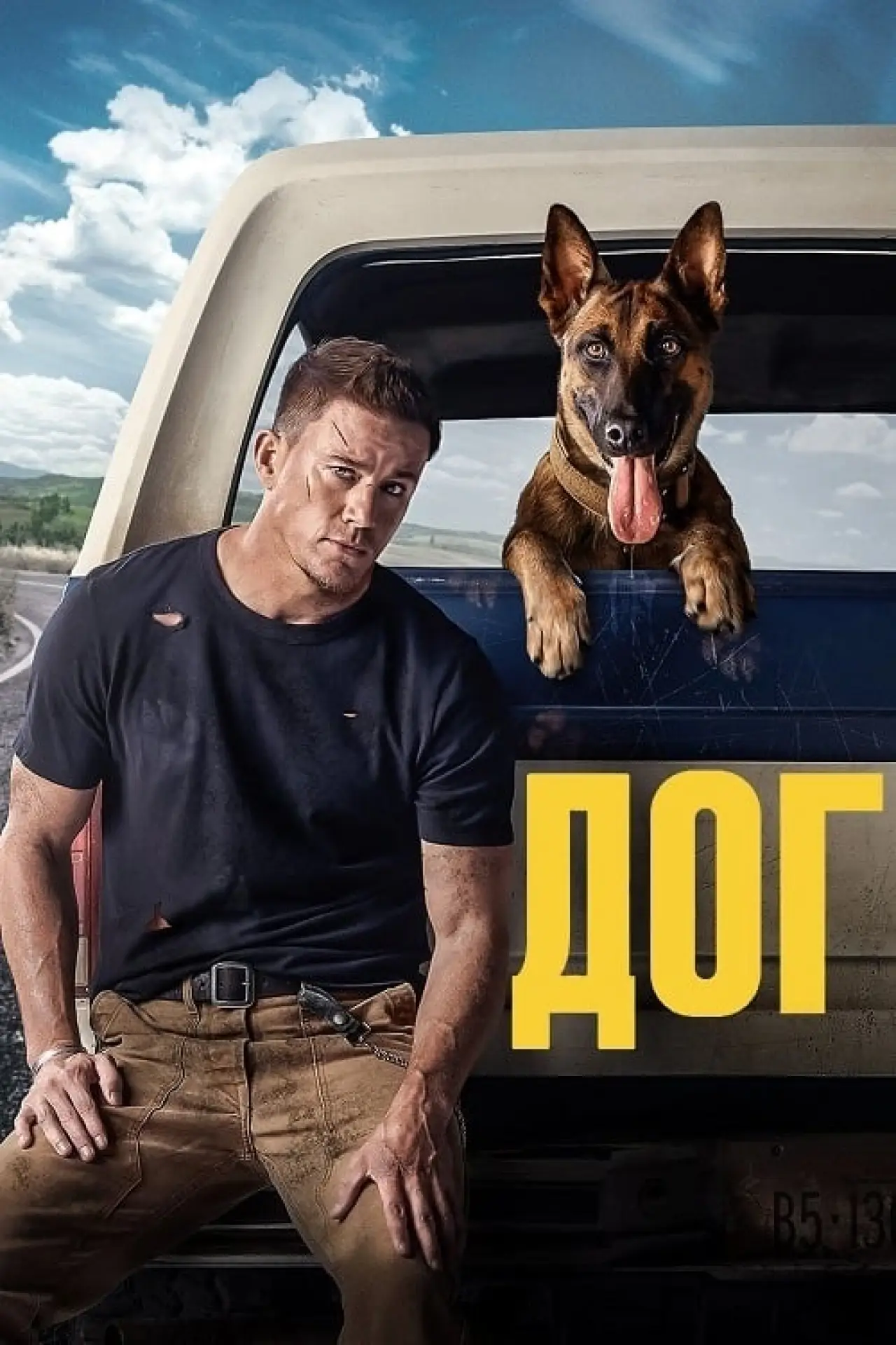 Постер до фільму "Дог"