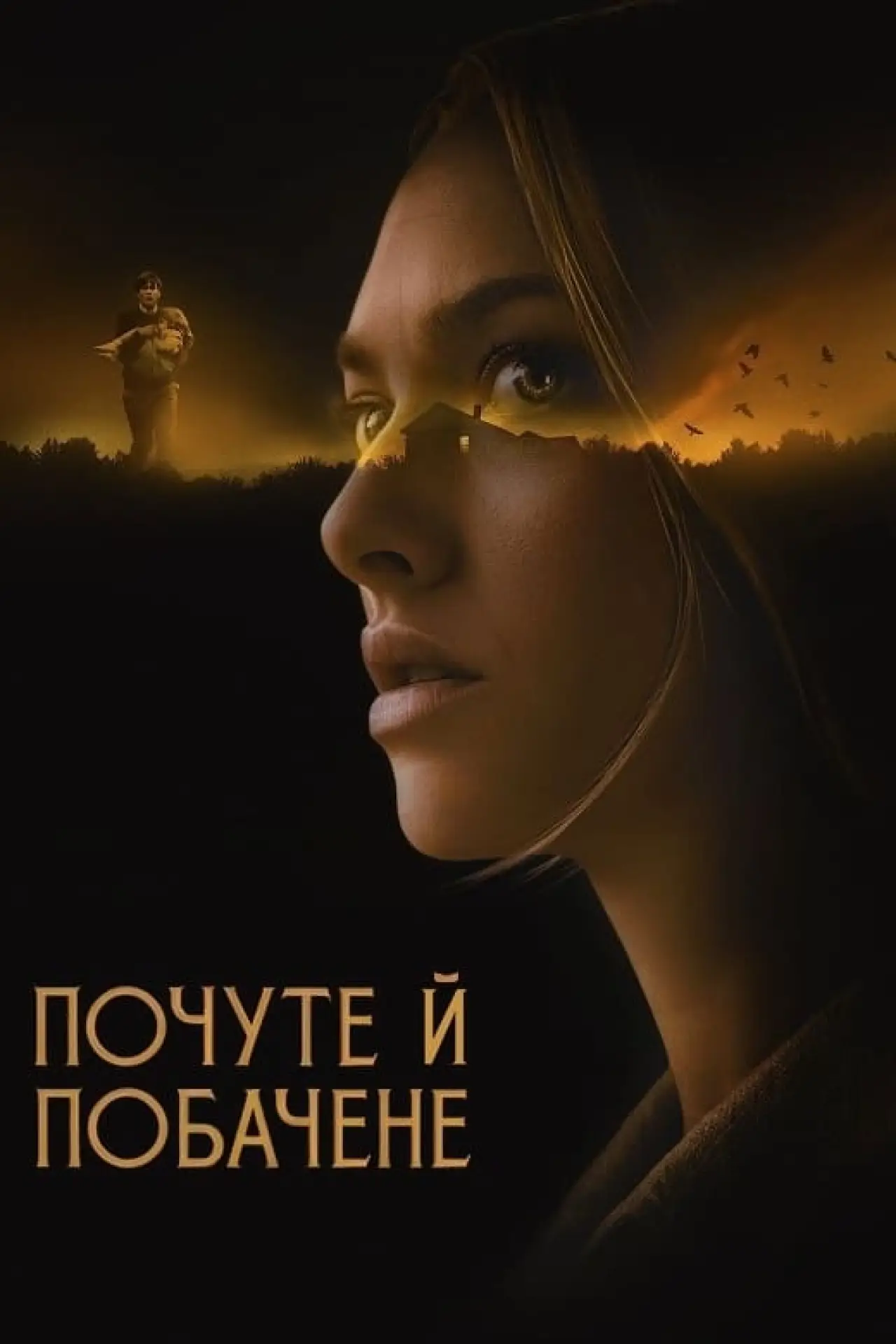 Постер до фільму "Побачене та почуте"