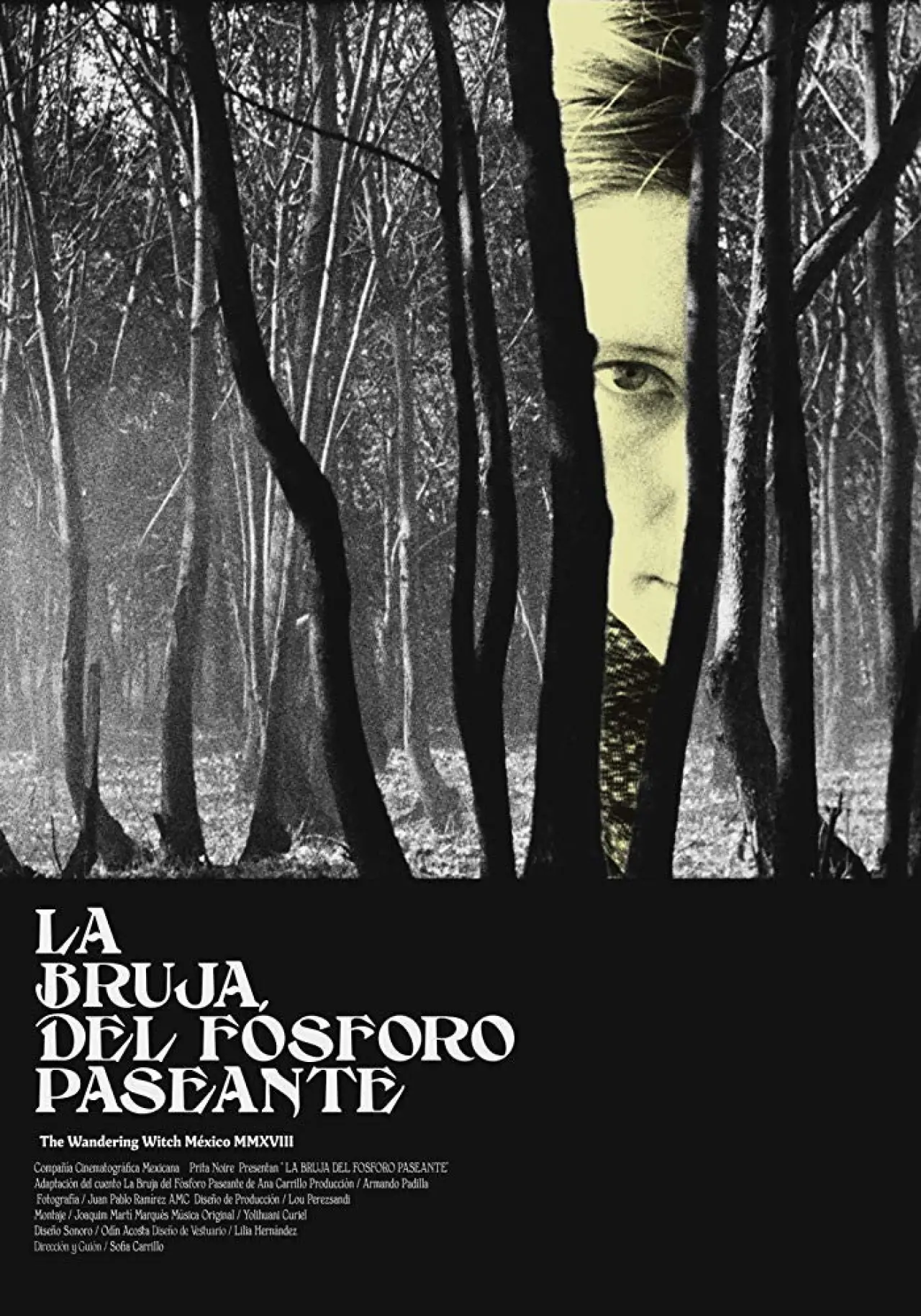 Постер до фільму "La bruja del fósforo paseante"