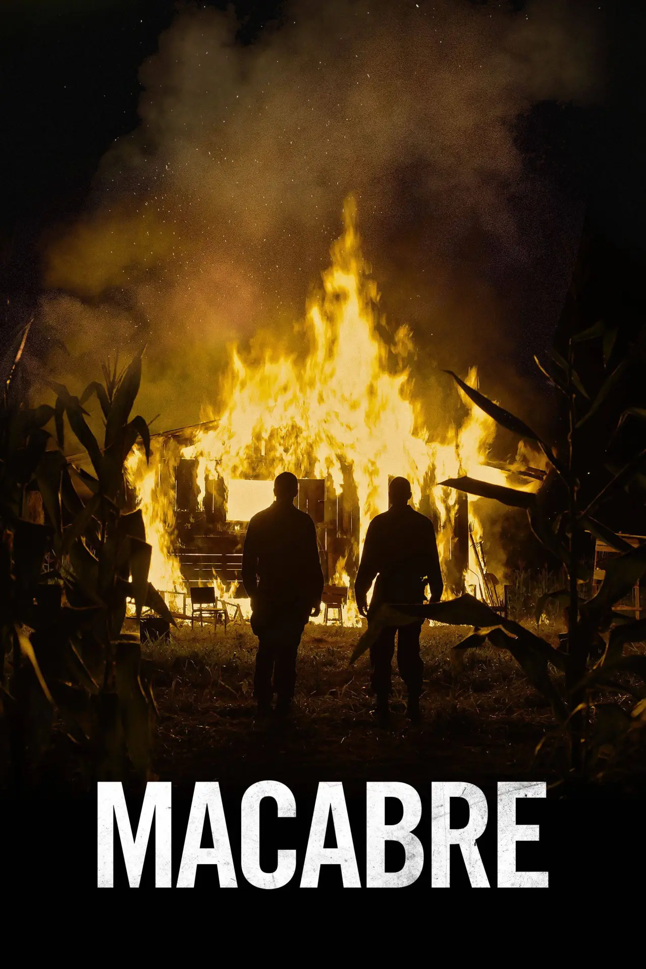 Постер до фільму "Macabro"