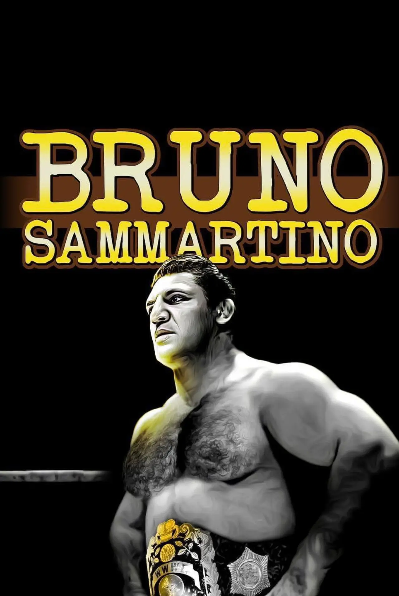 Постер до фільму "Bruno Sammartino, La Mia Mama"