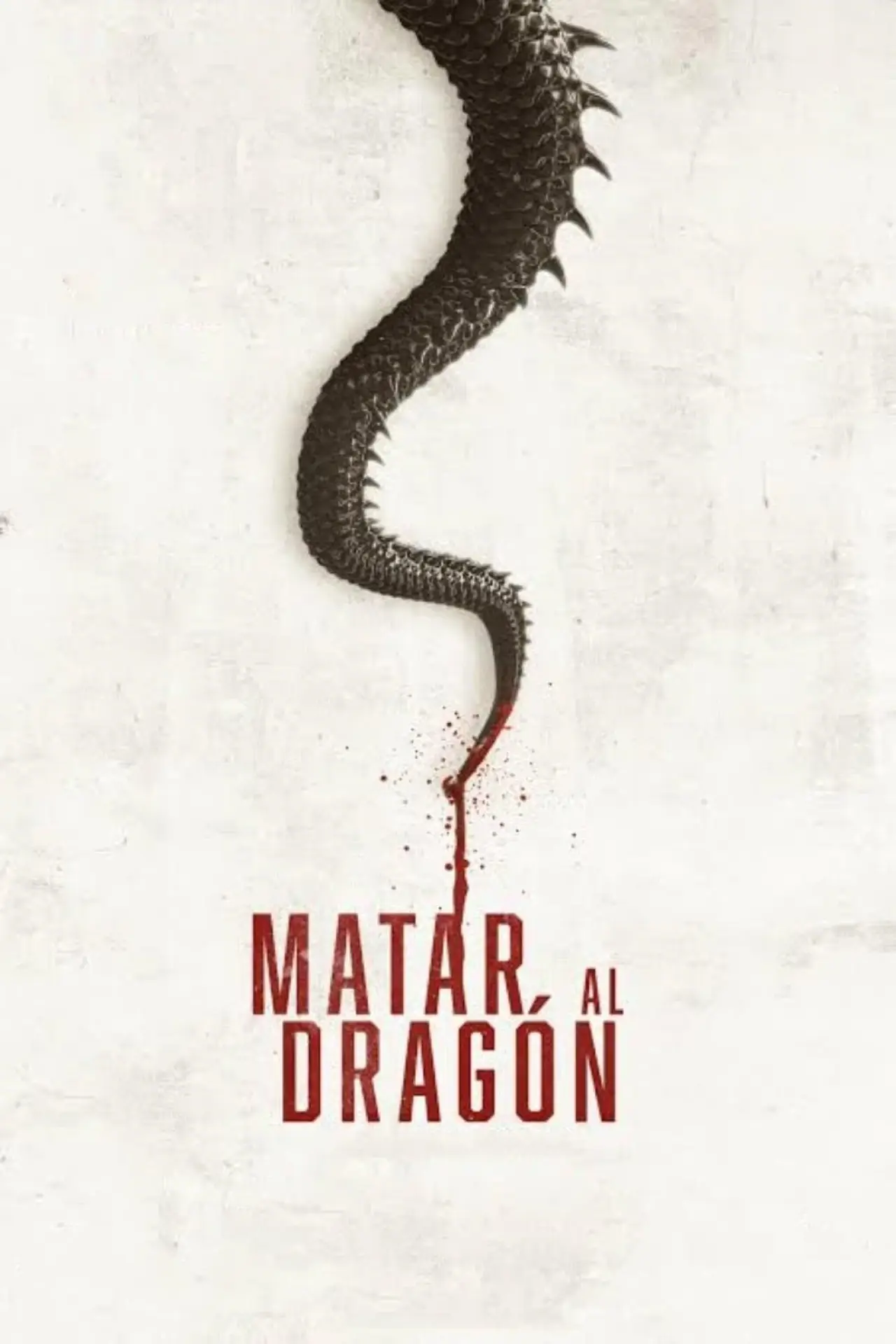 Постер до фільму "Matar al dragón"
