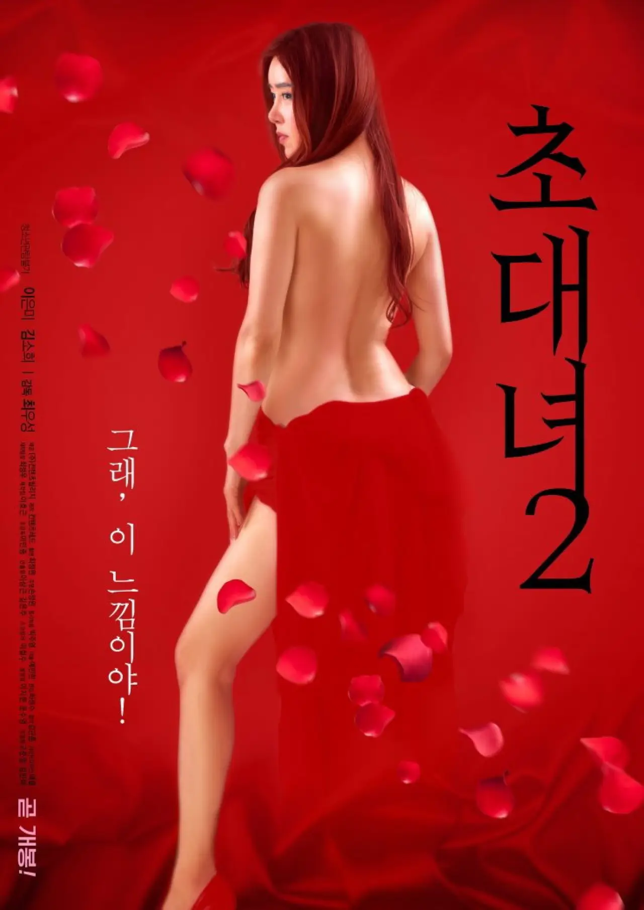 Постер до фільму "초대녀 2"