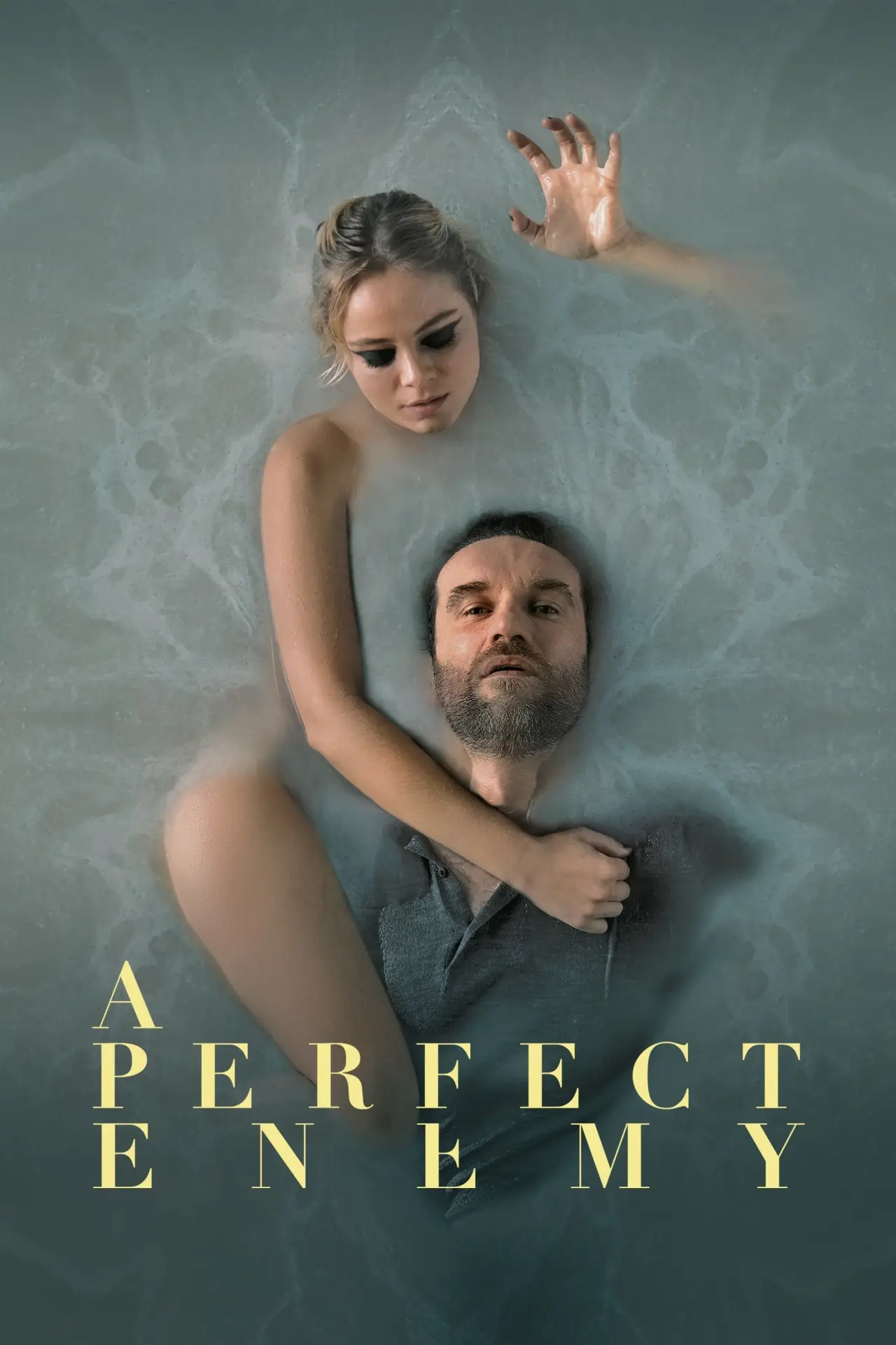 Постер до фільму "A Perfect Enemy"