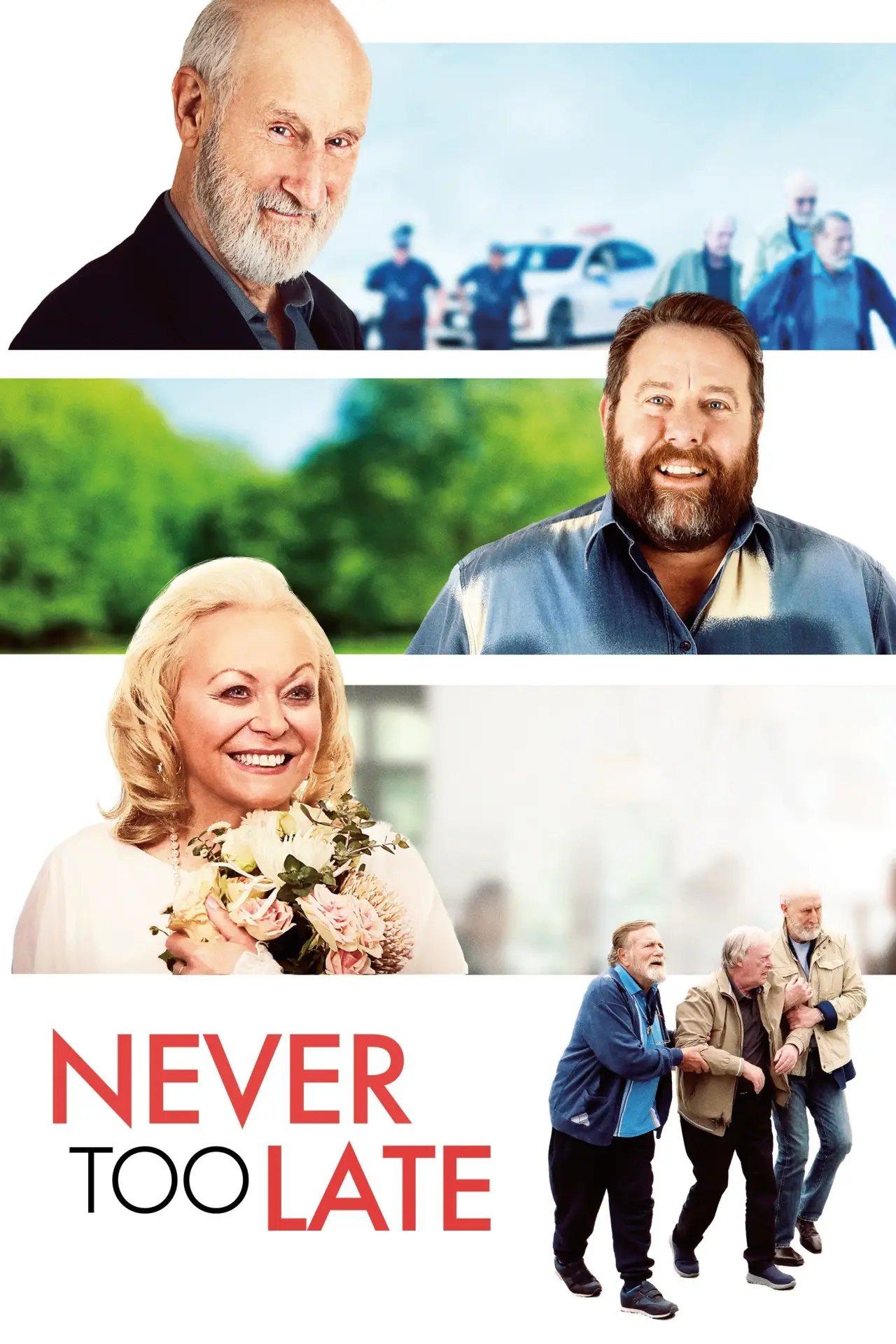 Постер до фільму "Never Too Late"