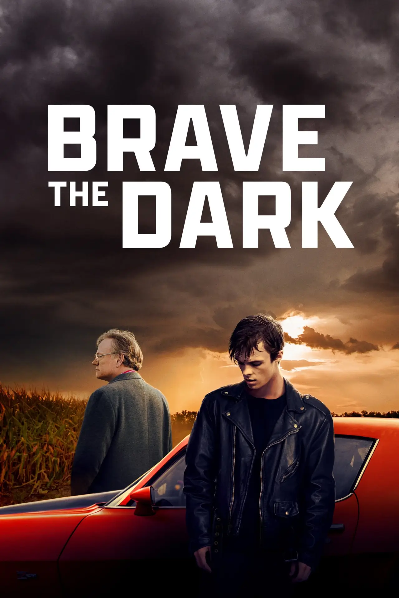 Постер до фільму "Brave the Dark"