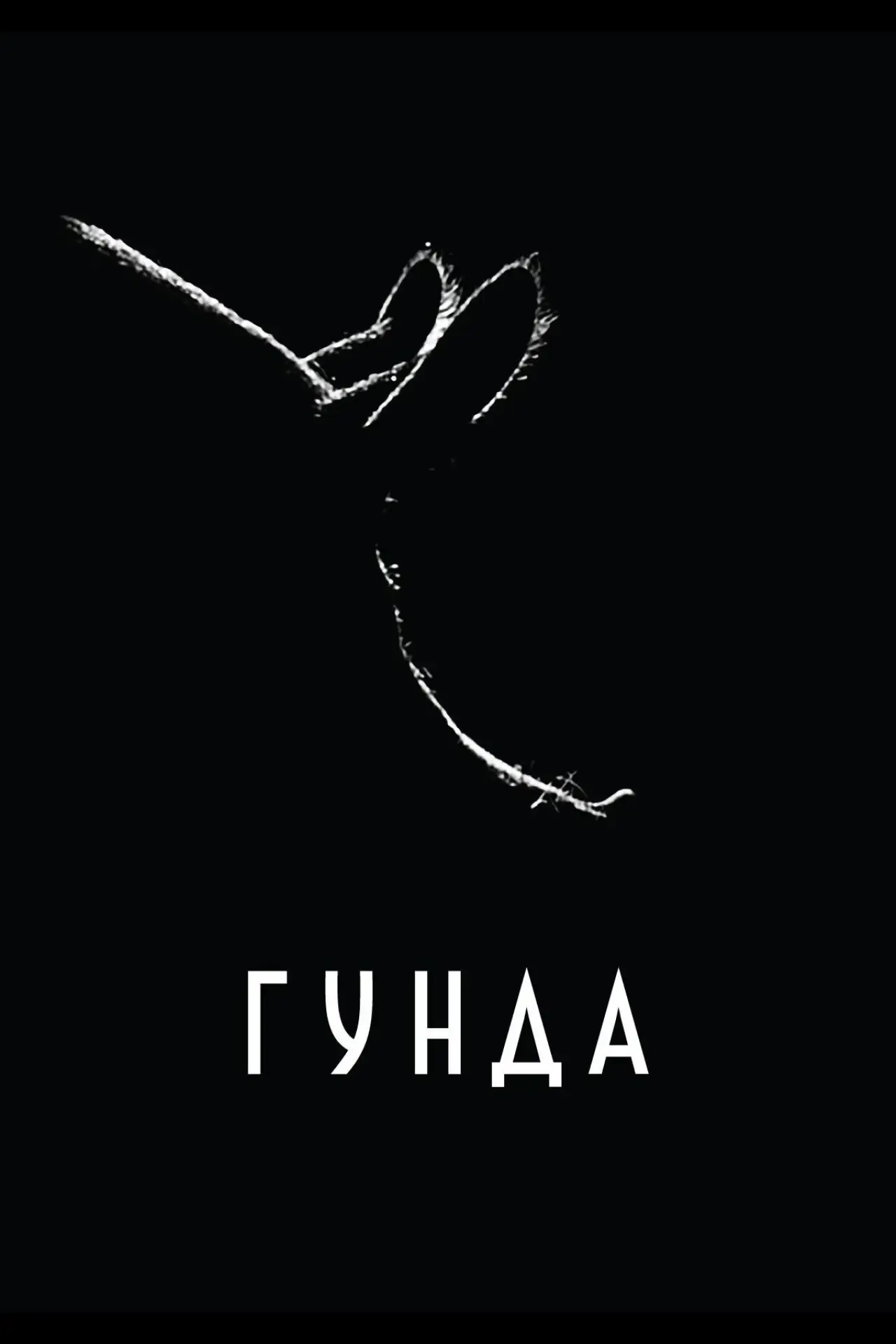 Постер до фільму "Гунда"