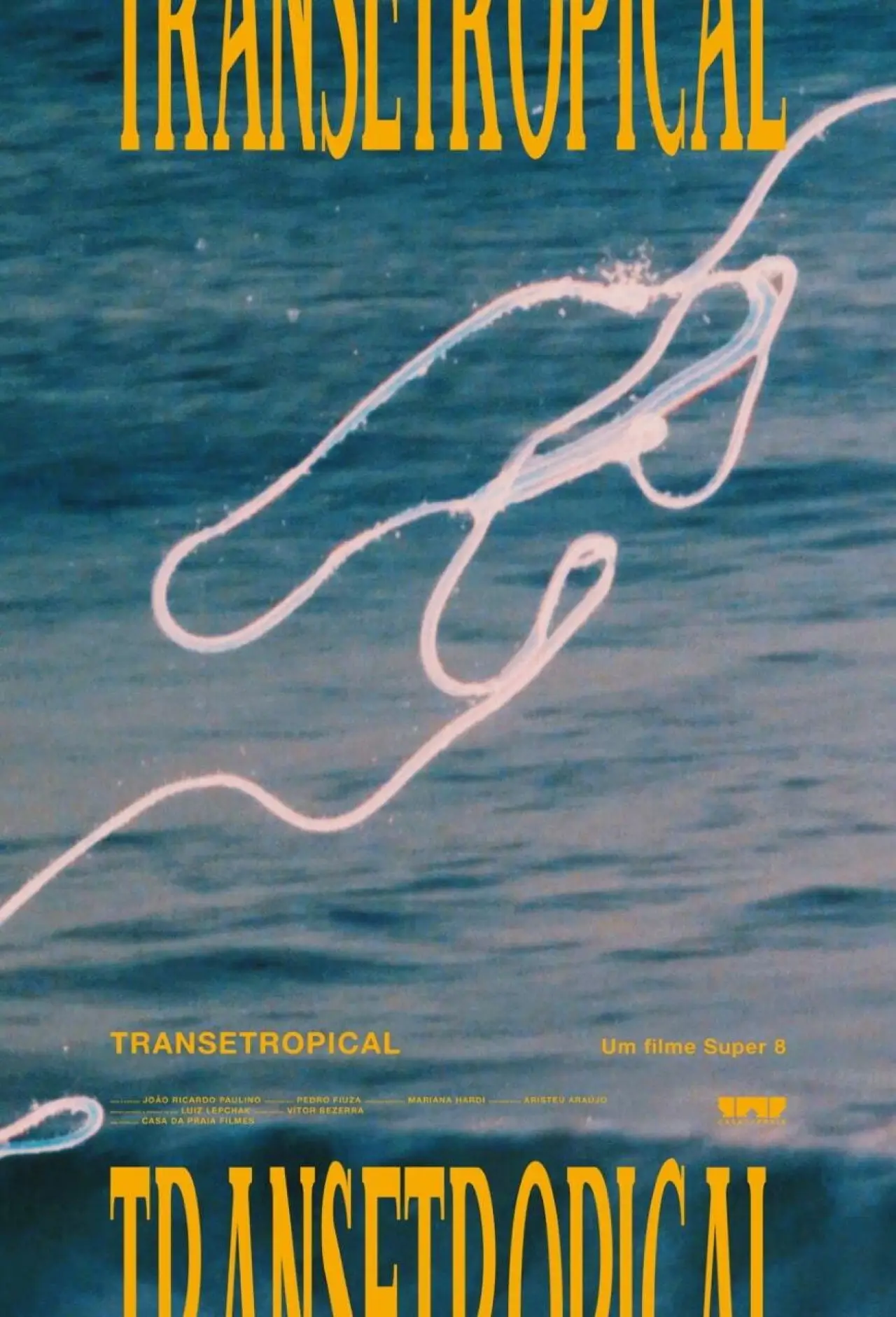 Постер до фільму "Transetropical"