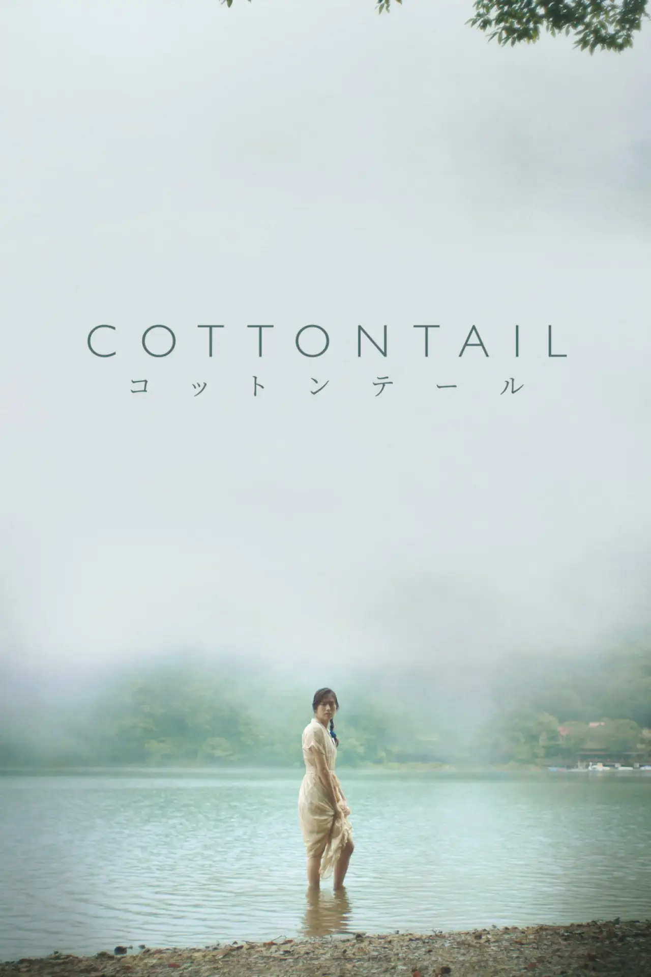 Постер до фільму "Cottontail"