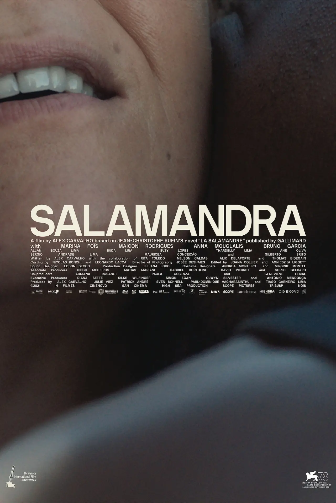 Постер до фільму "Salamandra"