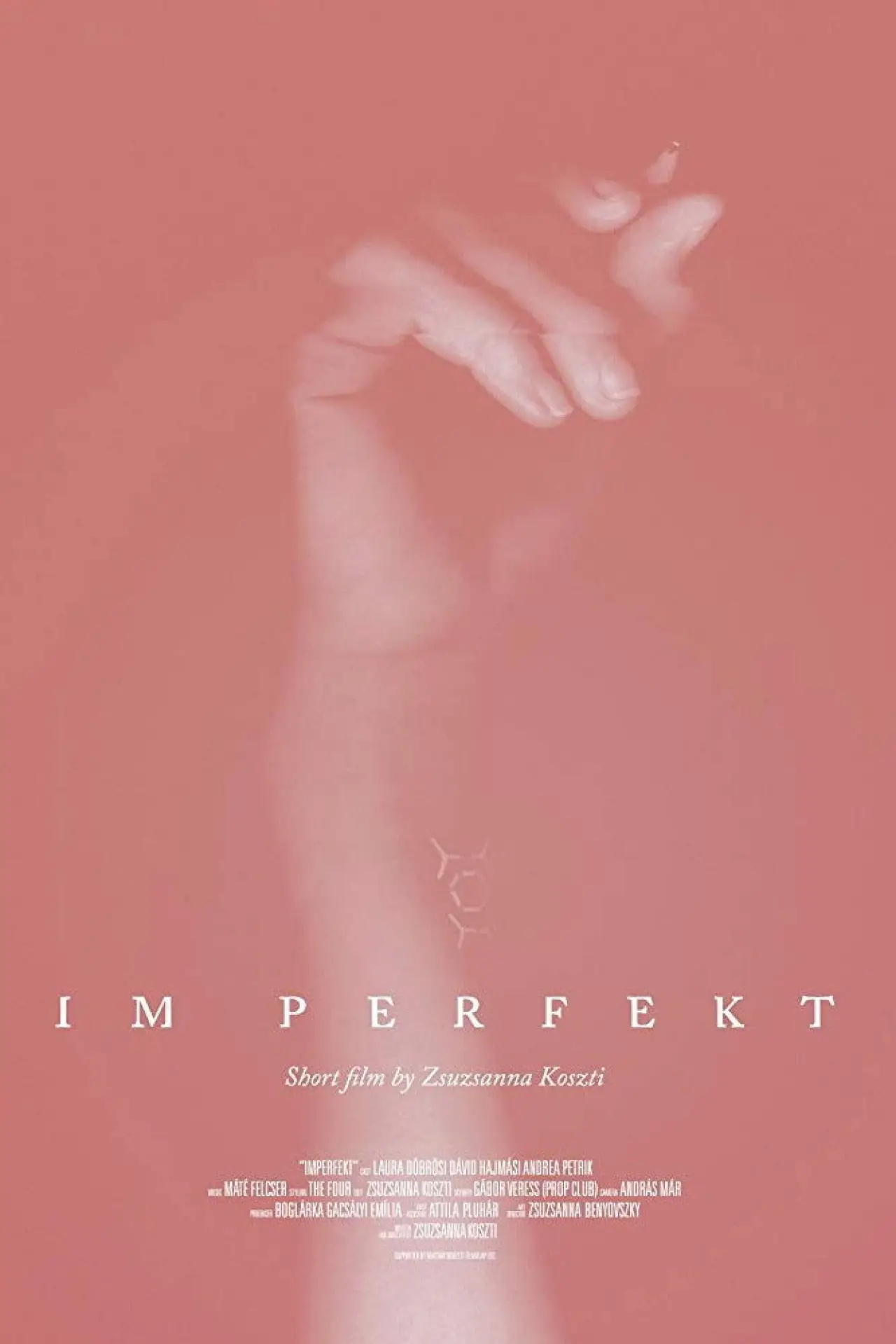 Постер до фільму "IM Perfekt"