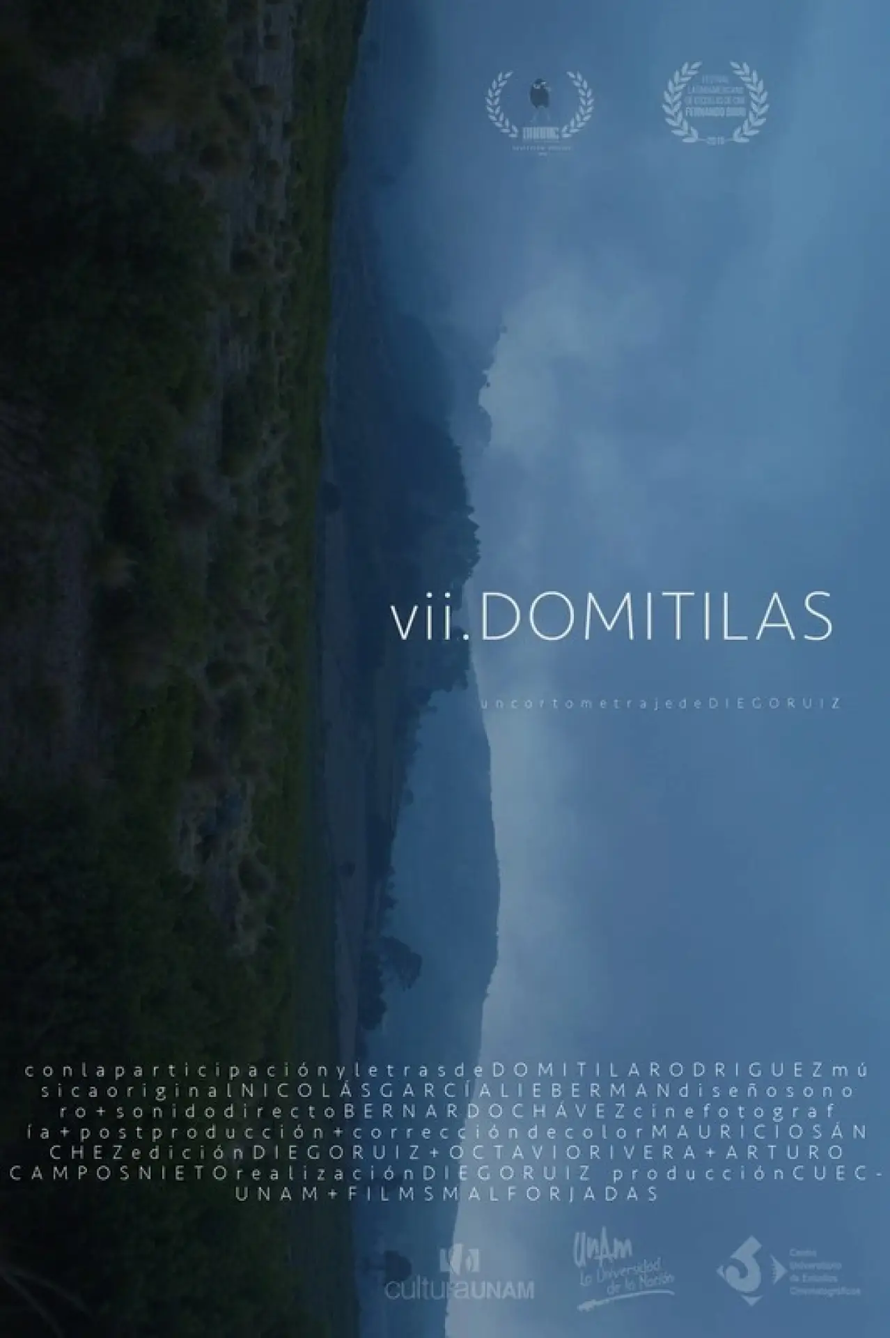 Постер до фільму "VII Domitilas"