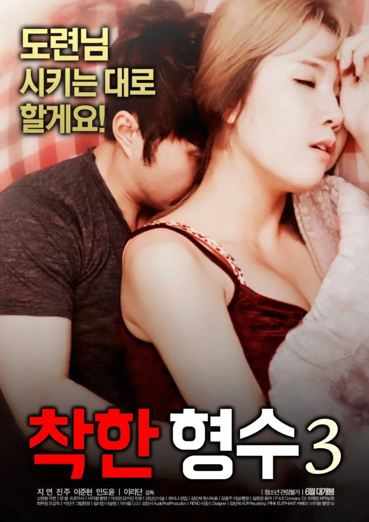 Постер до фільму "착한형수3"