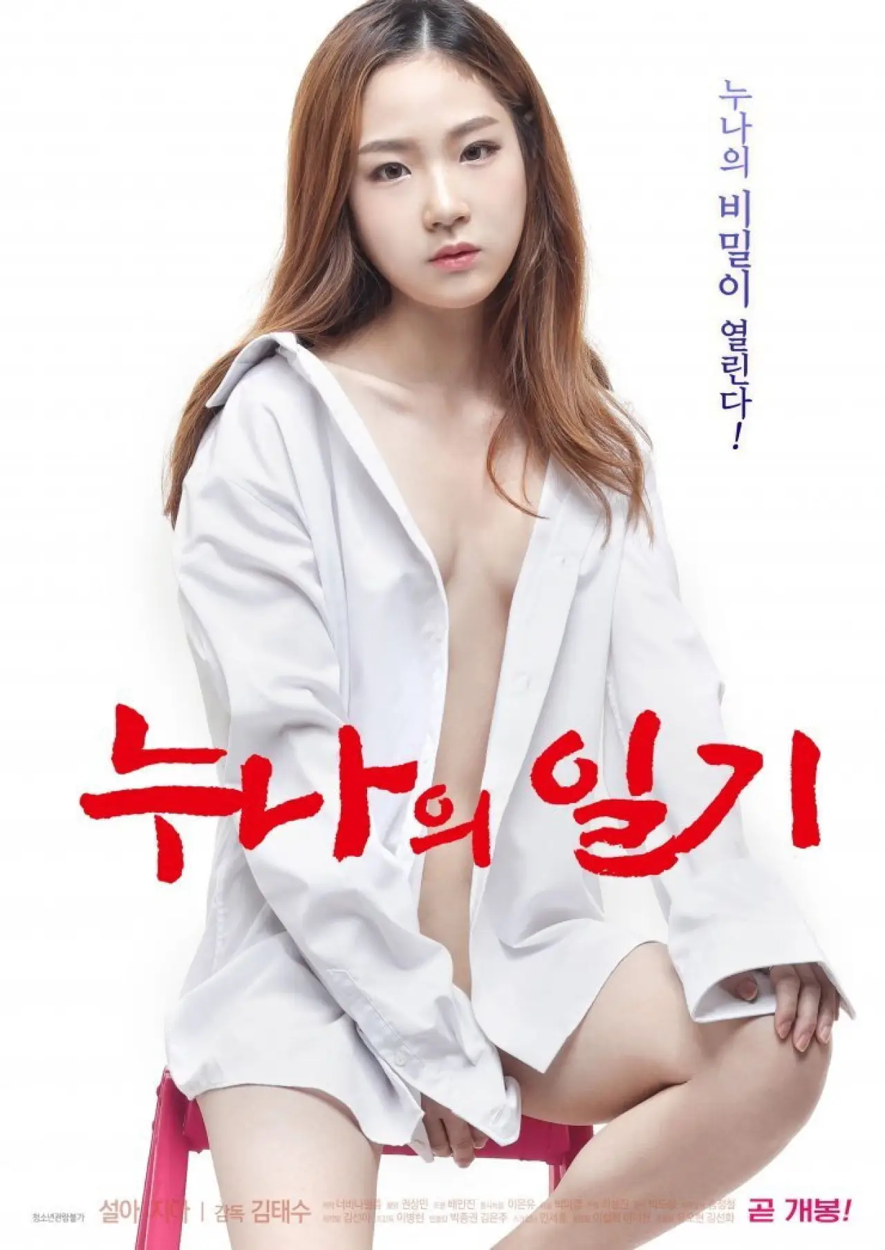 Постер до фільму "누나의 일기"