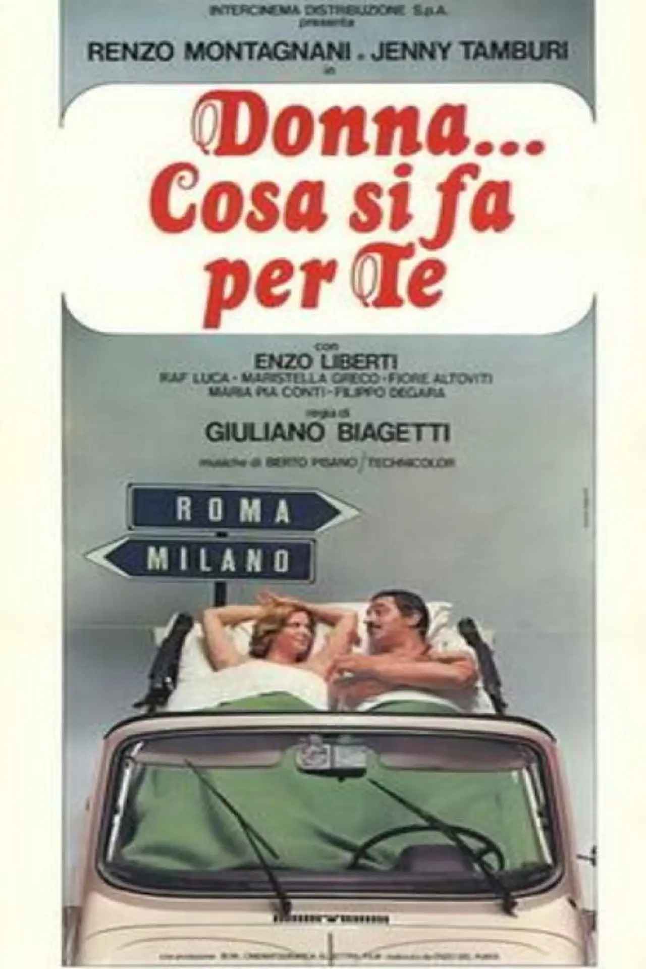 Постер до фільму "Donna... cosa si fa per te"