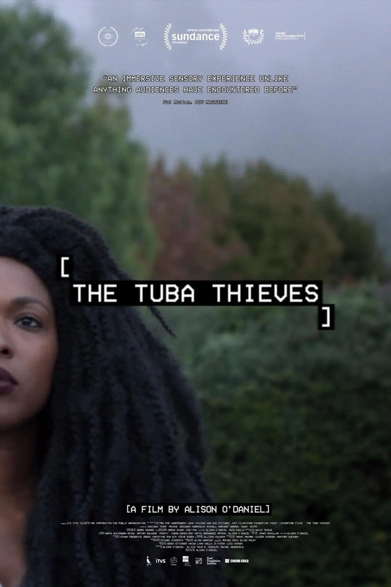 Постер до фільму "The Tuba Thieves"