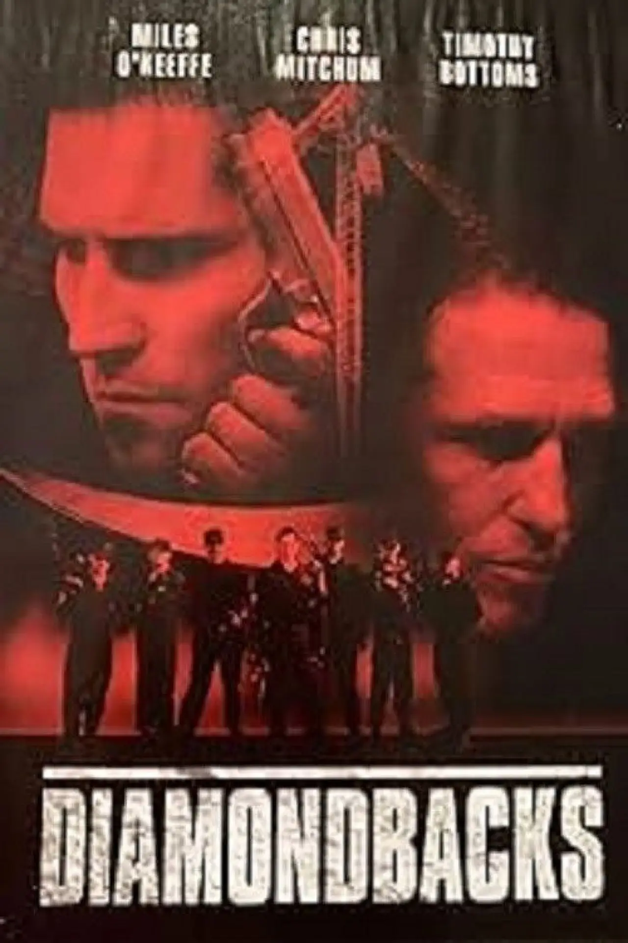 Постер до фільму "Diamondbacks"